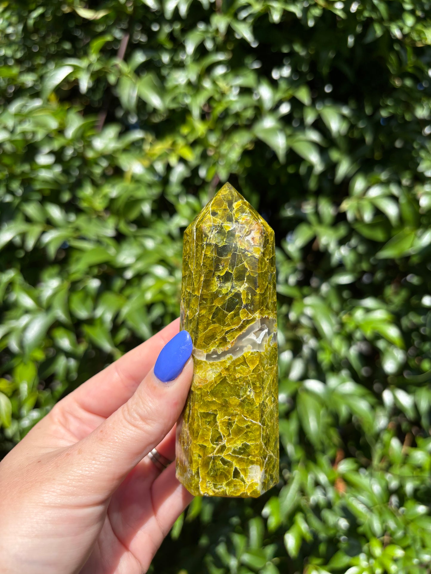 Green Opal Point C