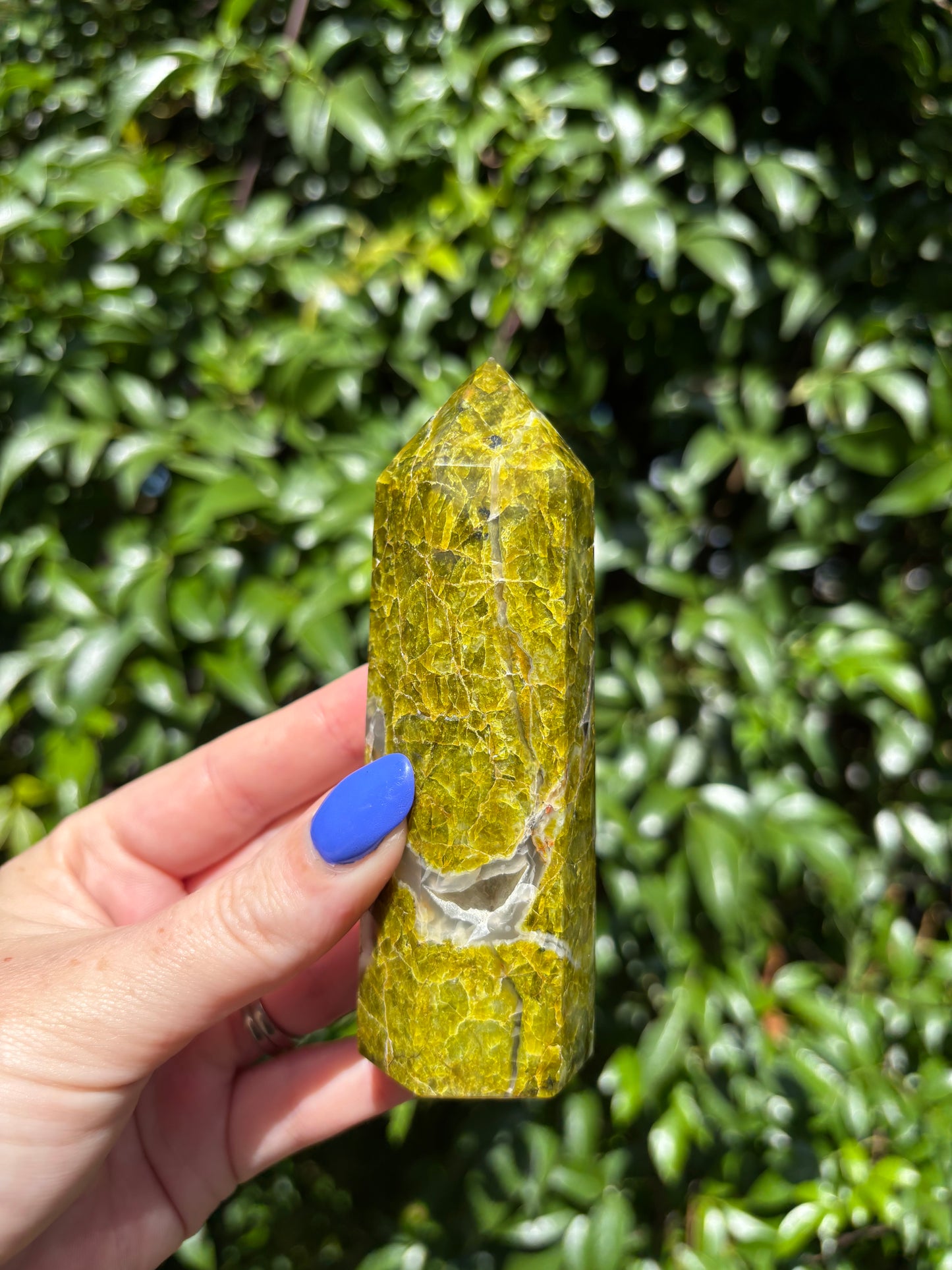 Green Opal Point C