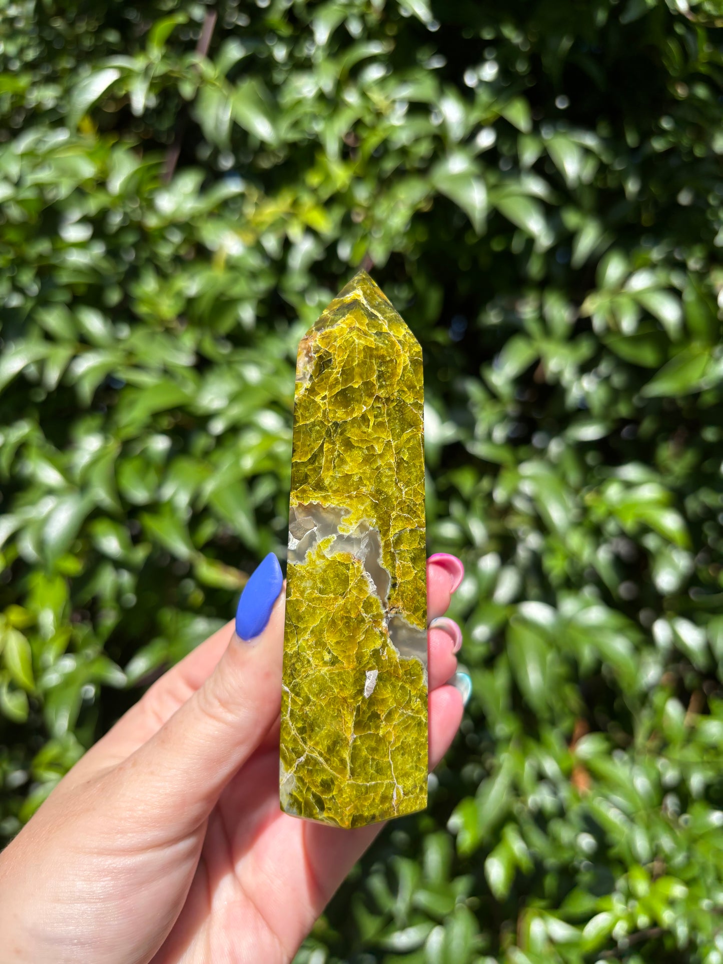 Green Opal Point C