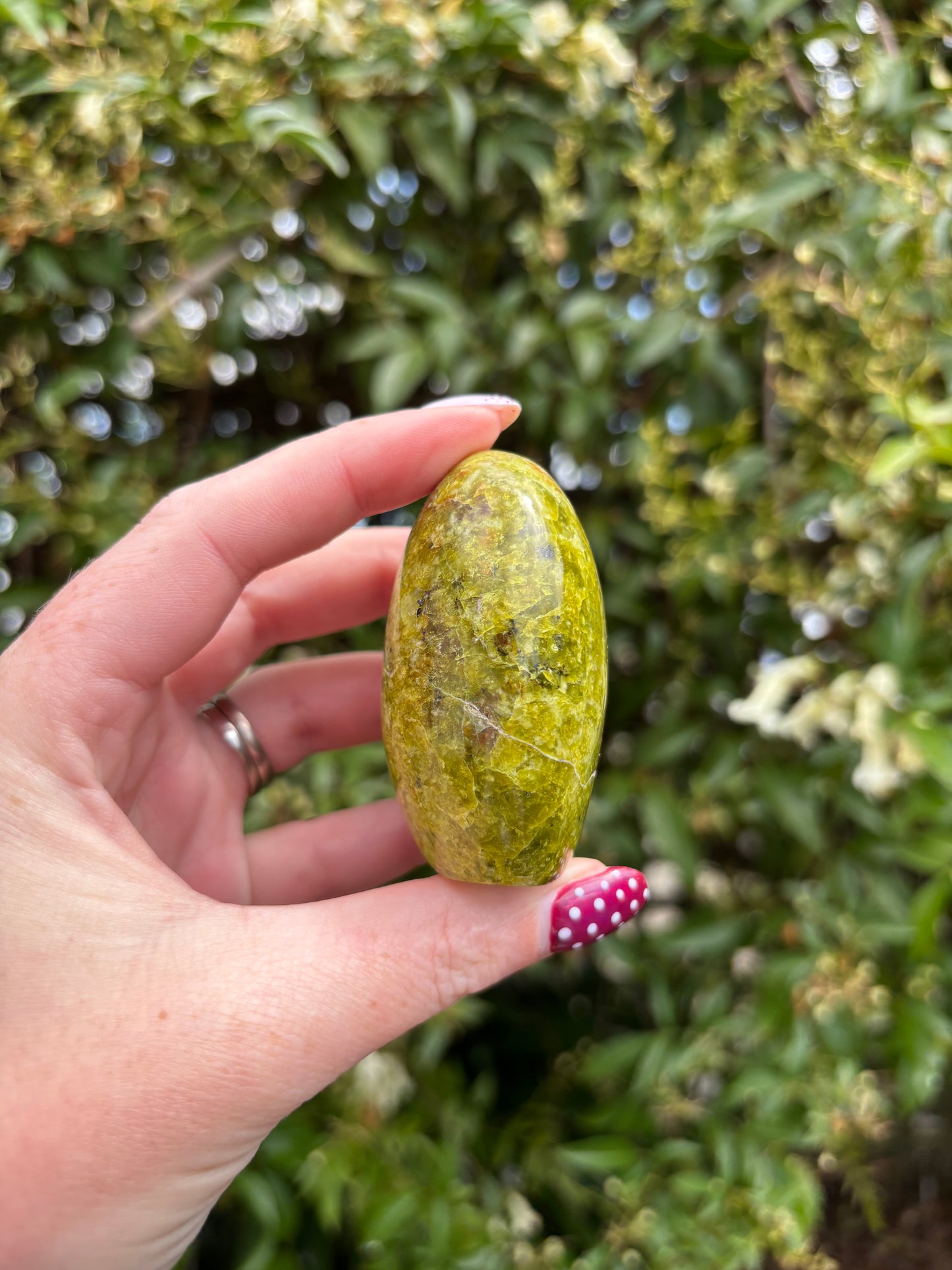 Green Opal Polished Free Form C