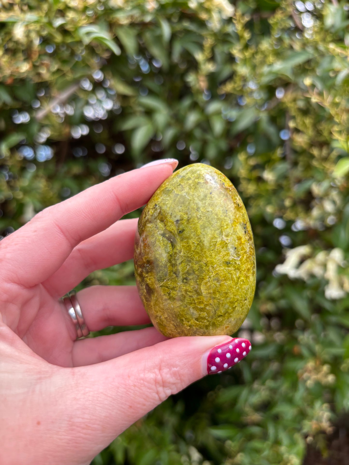 Green Opal Polished Free Form C