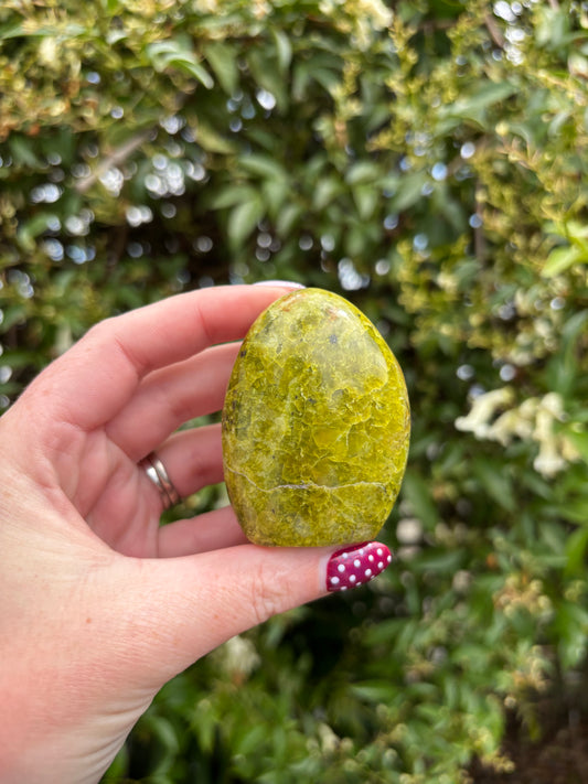 Green Opal Polished Free Form C