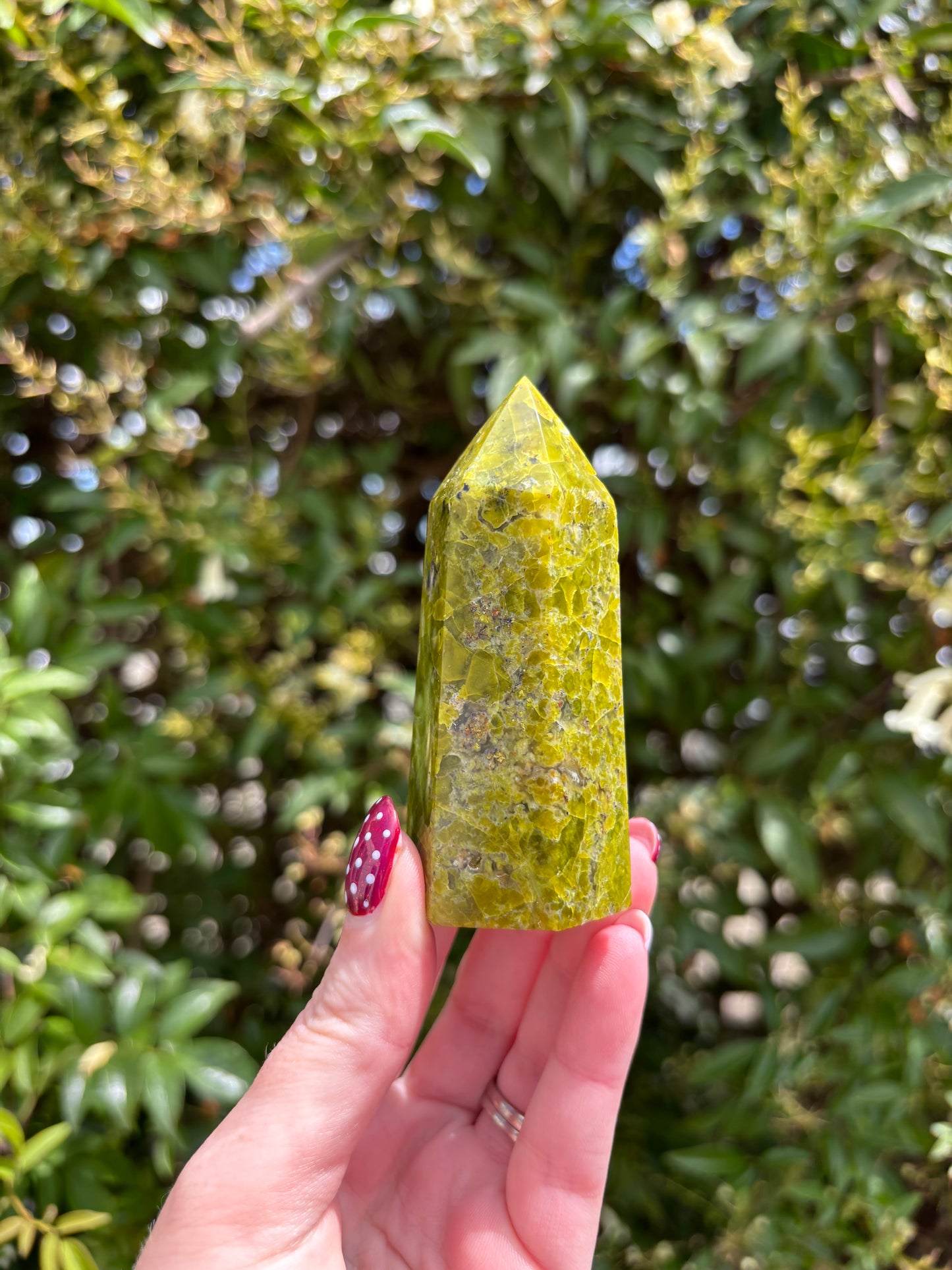 Green Opal Polished Point A