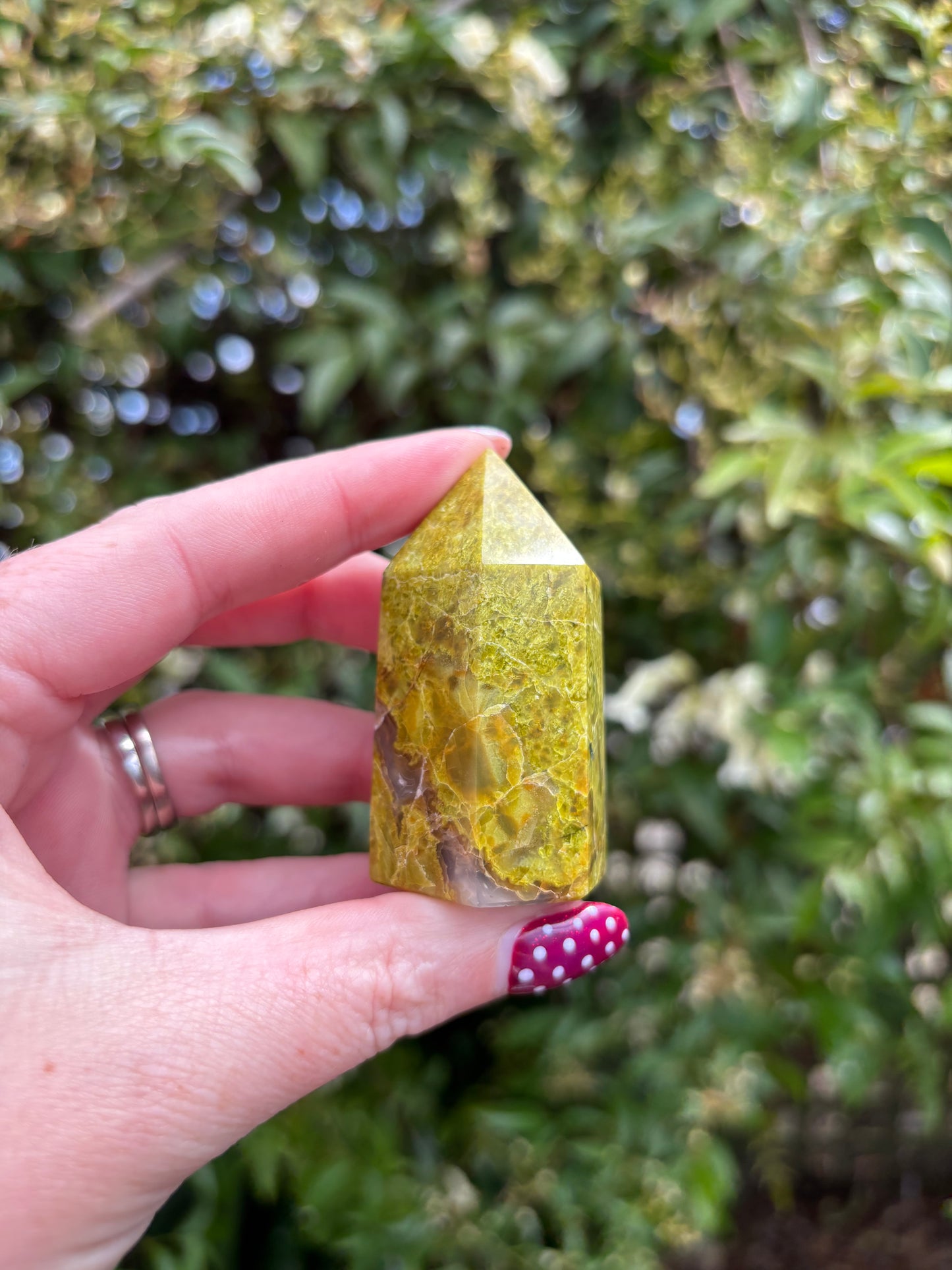 Green Opal Polished Point B