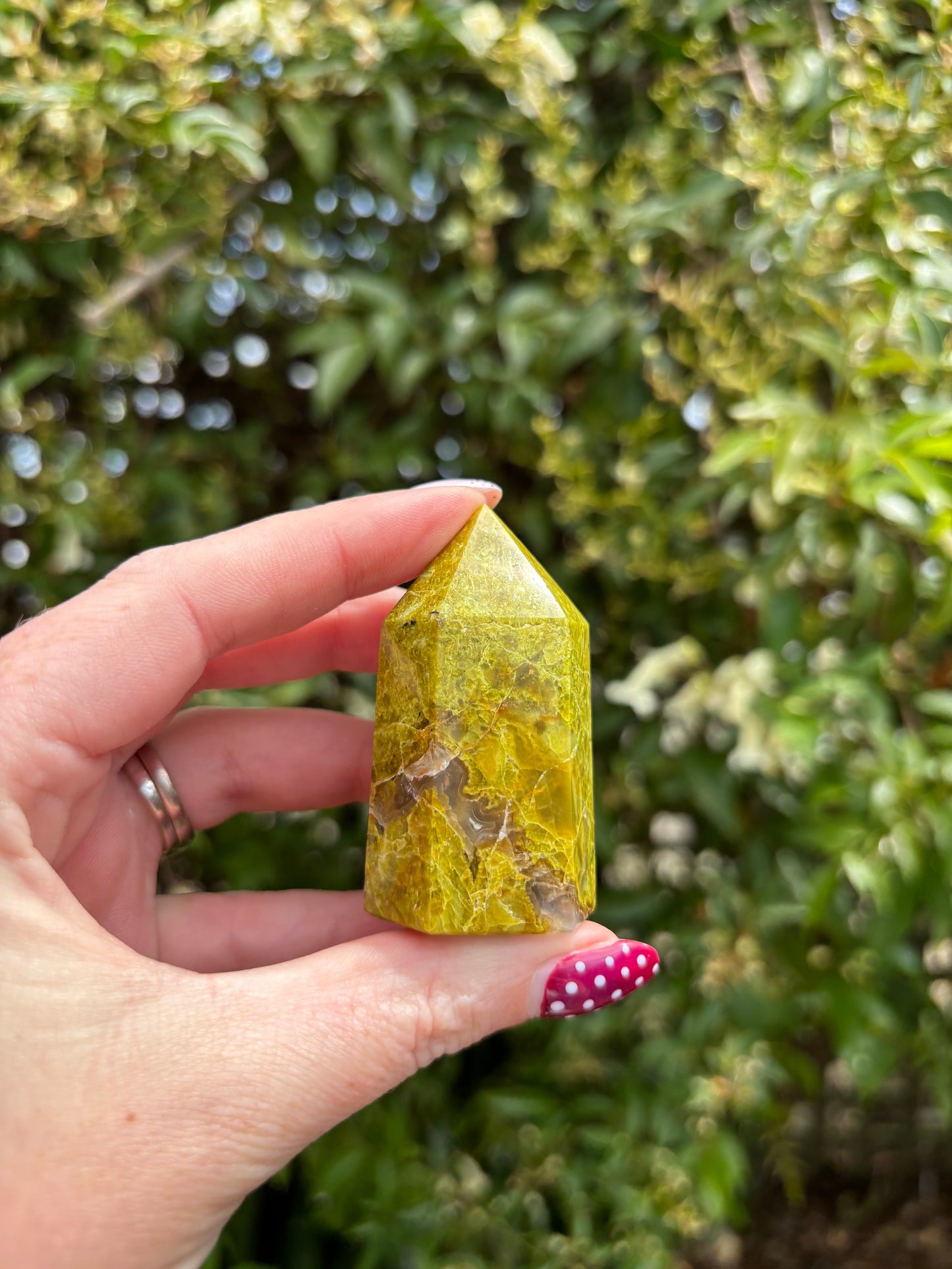 Green Opal Polished Point B