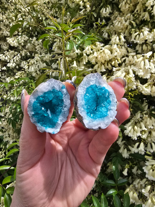 Quartz Geode Pair | Green