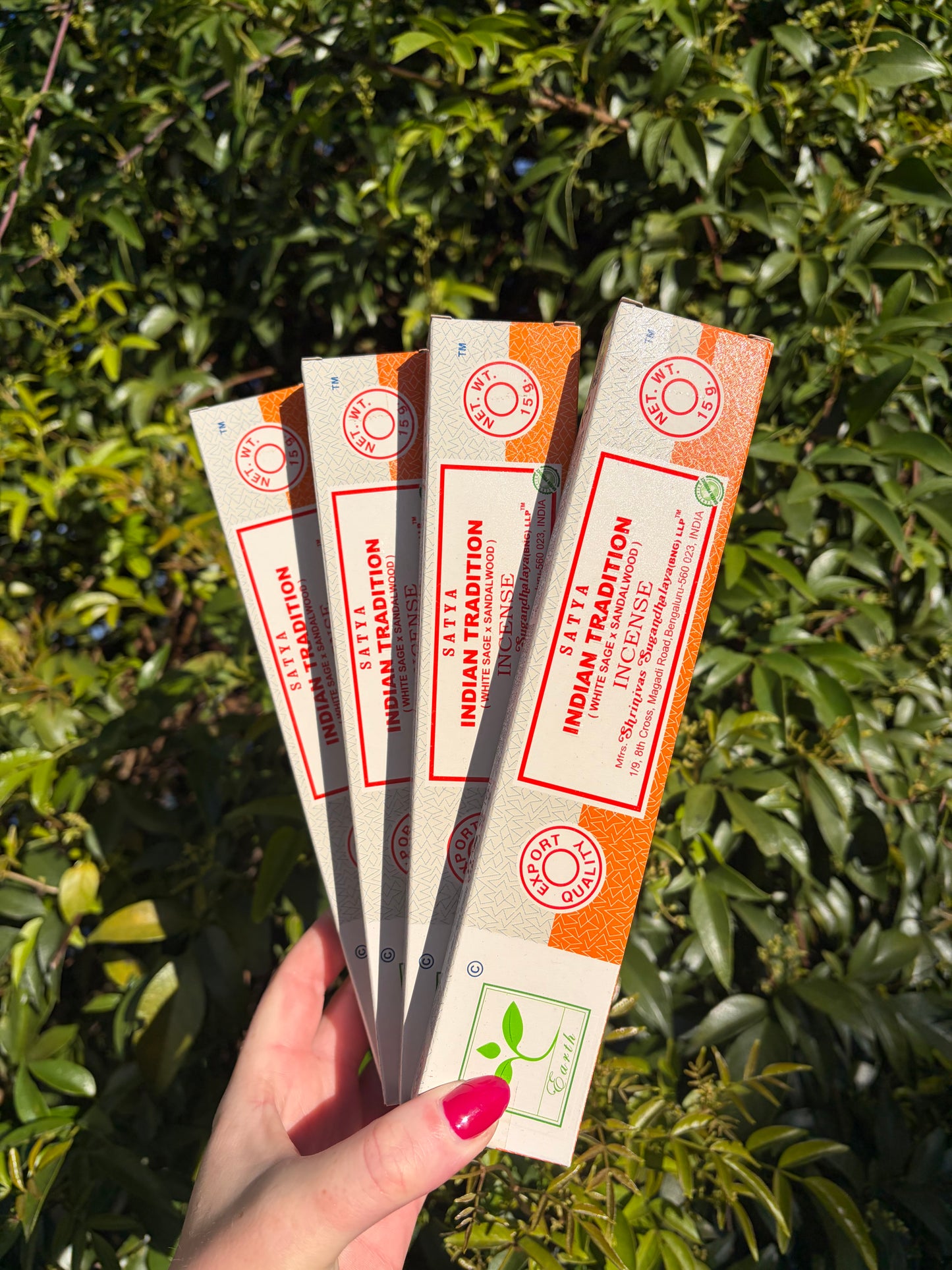 Indian Tradition | White Sage & Sandalwood Incense Sticks