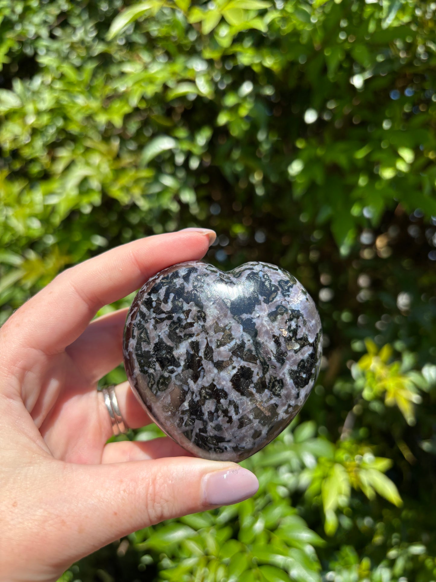 Indigo Gabbro Heart B