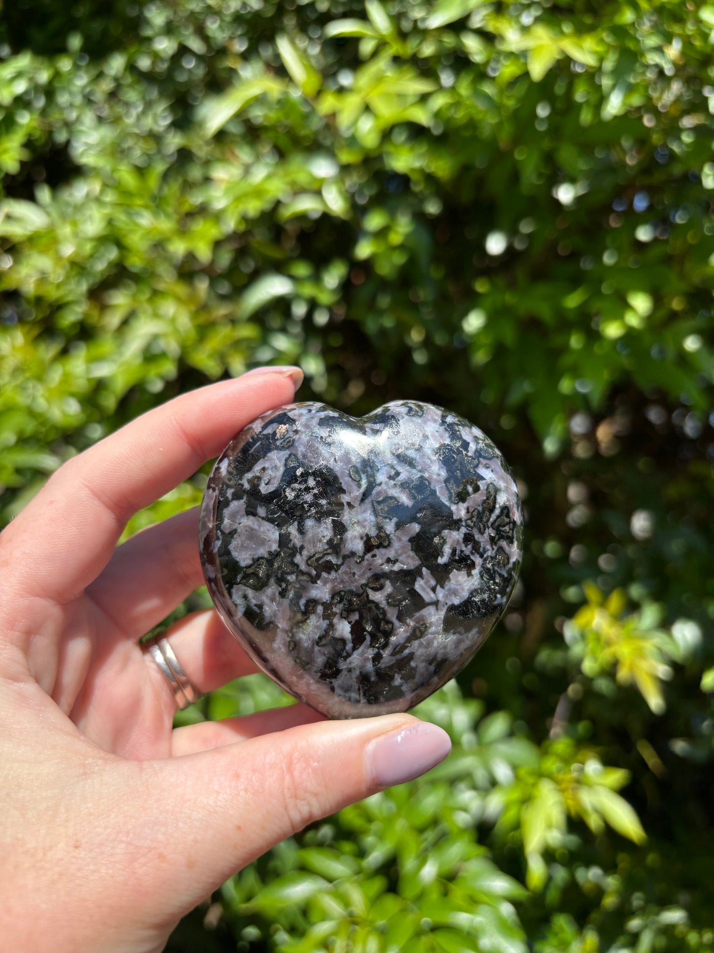 Indigo Gabbro Heart B