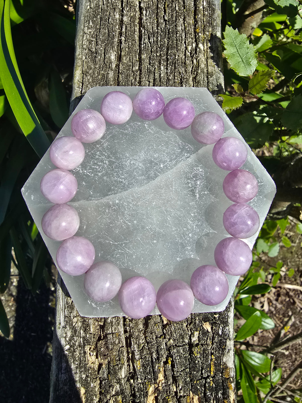 Kunzite | Round Bead Bracelet 13 mm