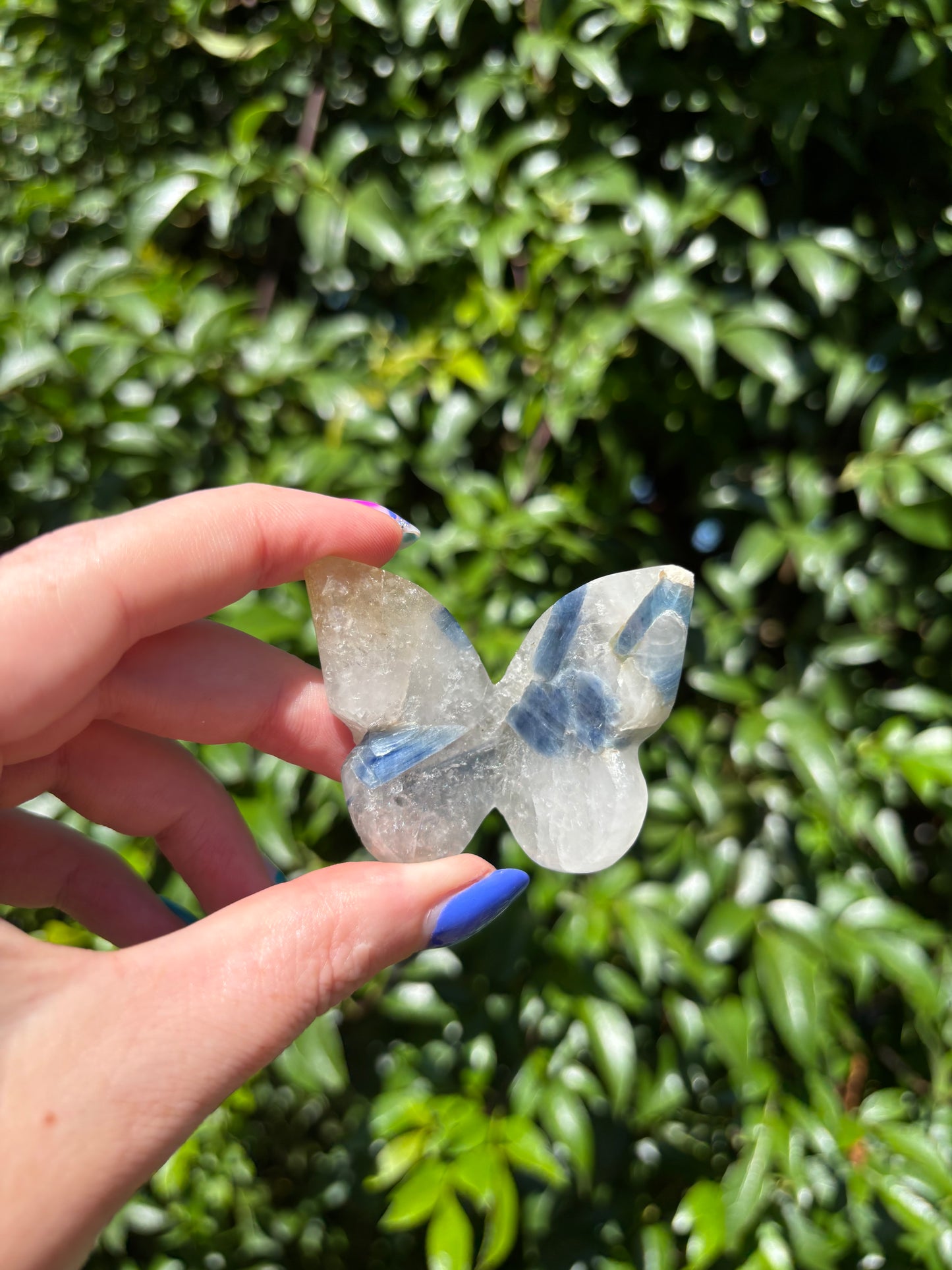 Blue Kyanite In Quartz Carved Butterfly A