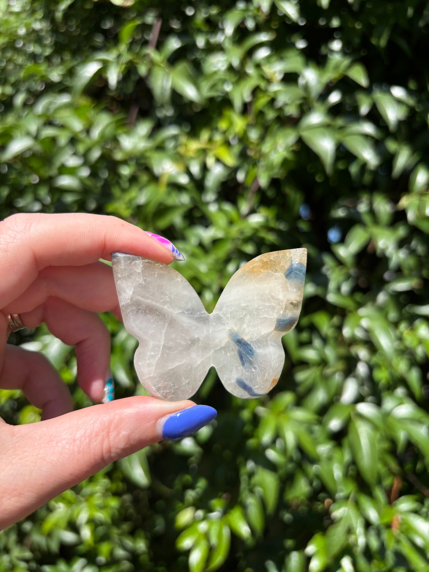 Blue Kyanite In Quartz Carved Butterfly B