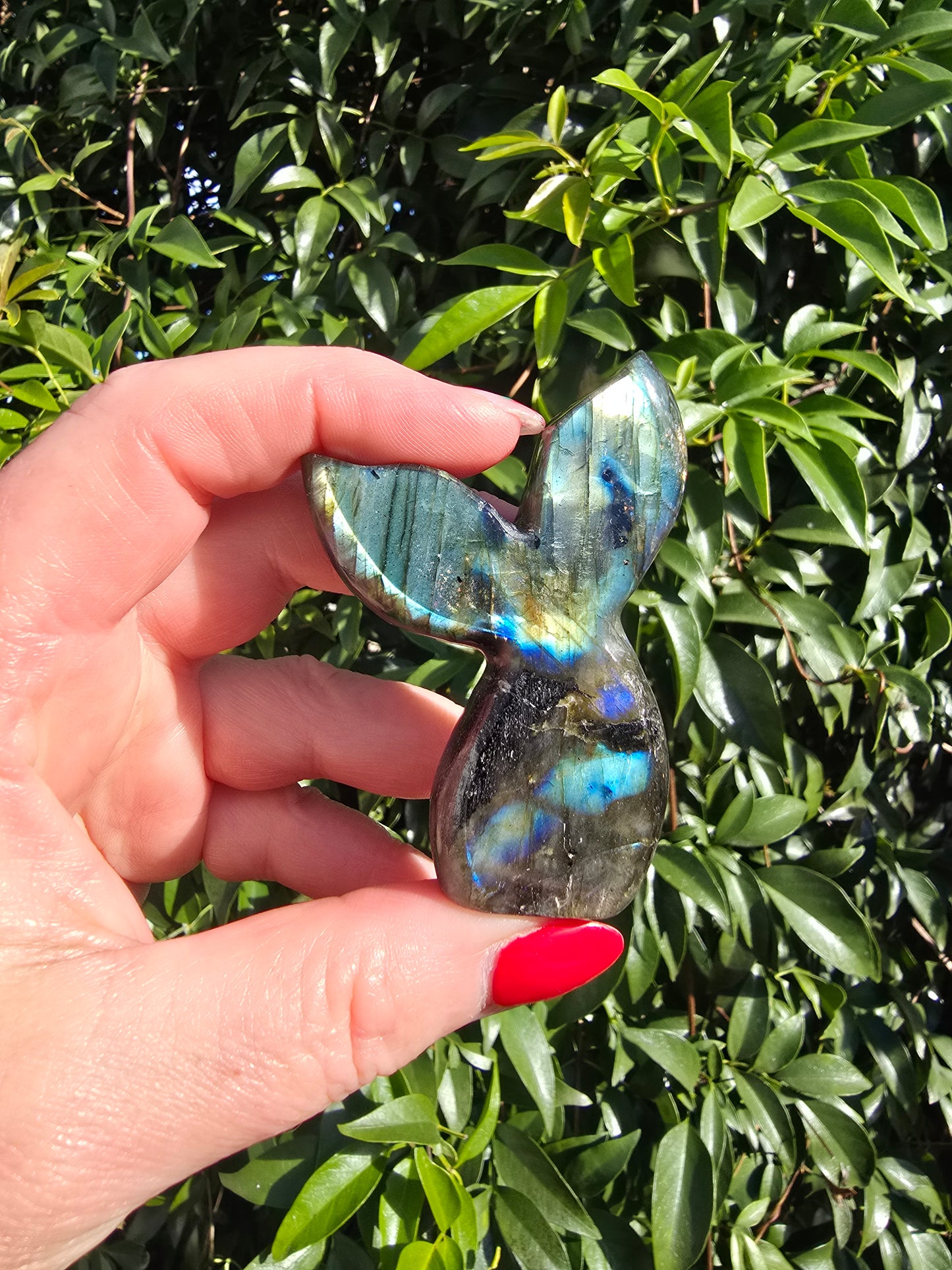 Labradorite Mermaid Tail A