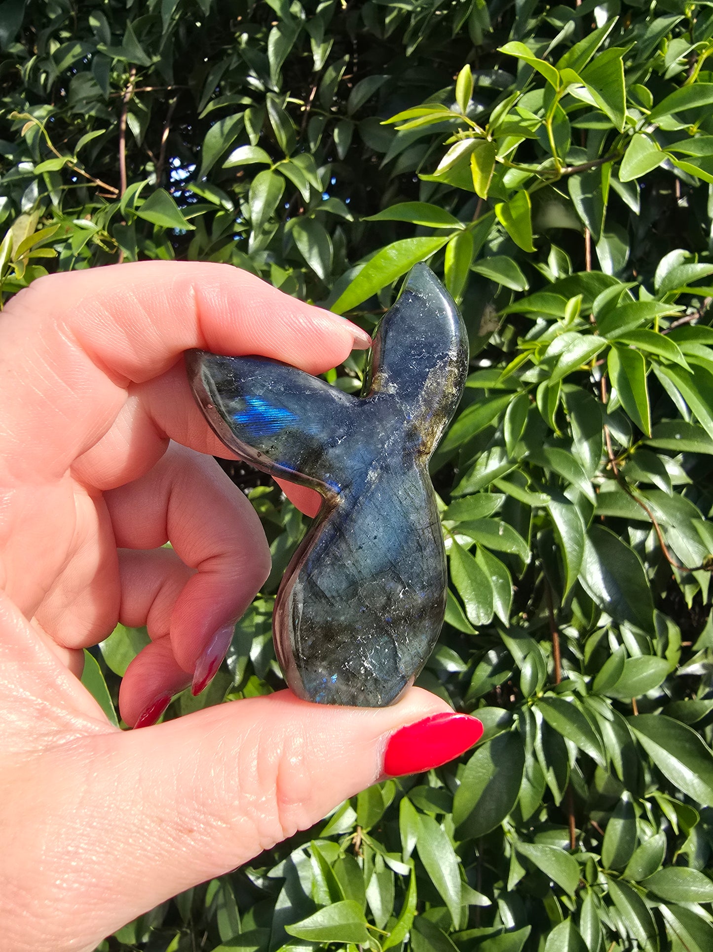 Labradorite Mermaid Tail B