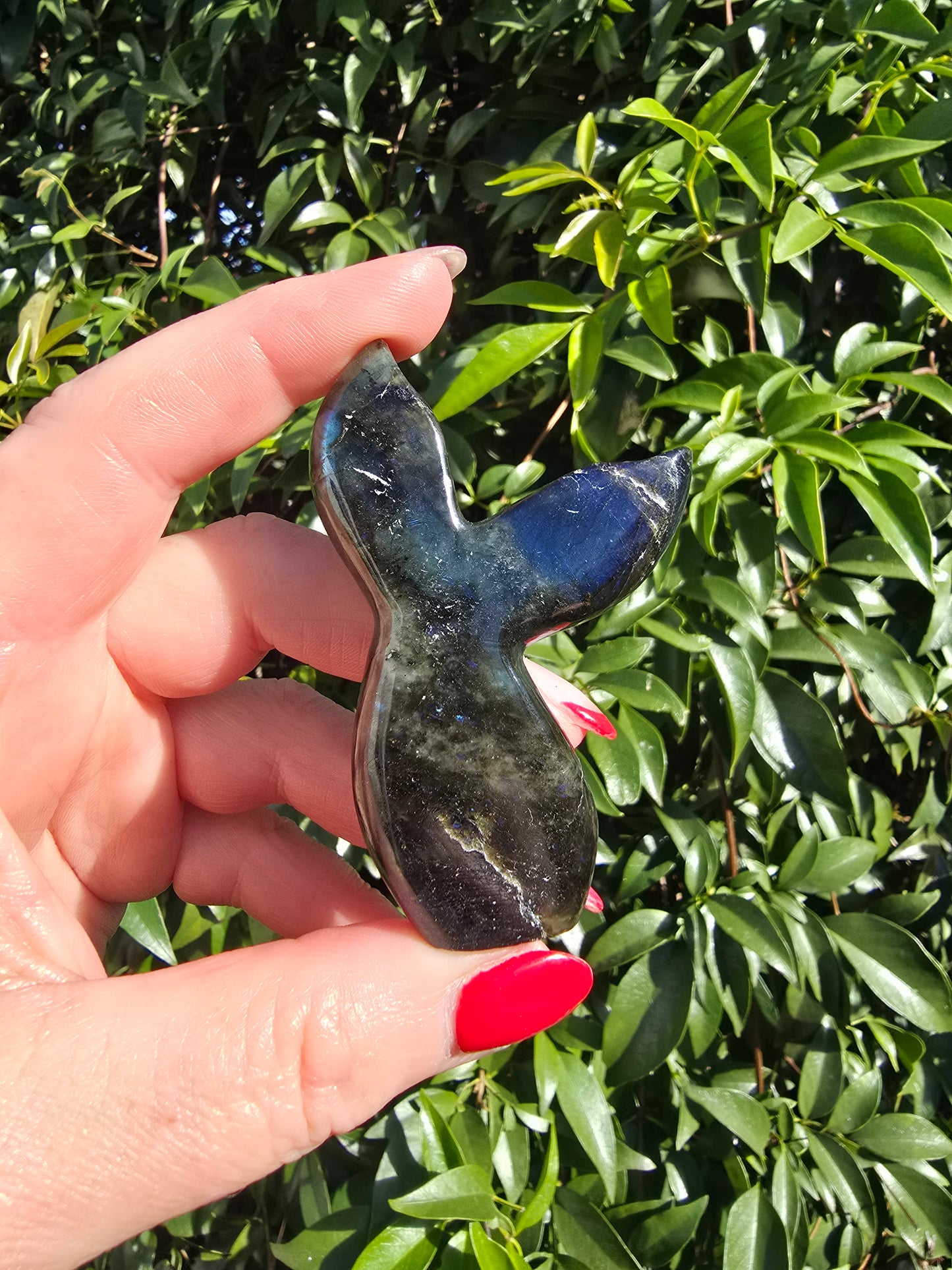 Labradorite Mermaid Tail B