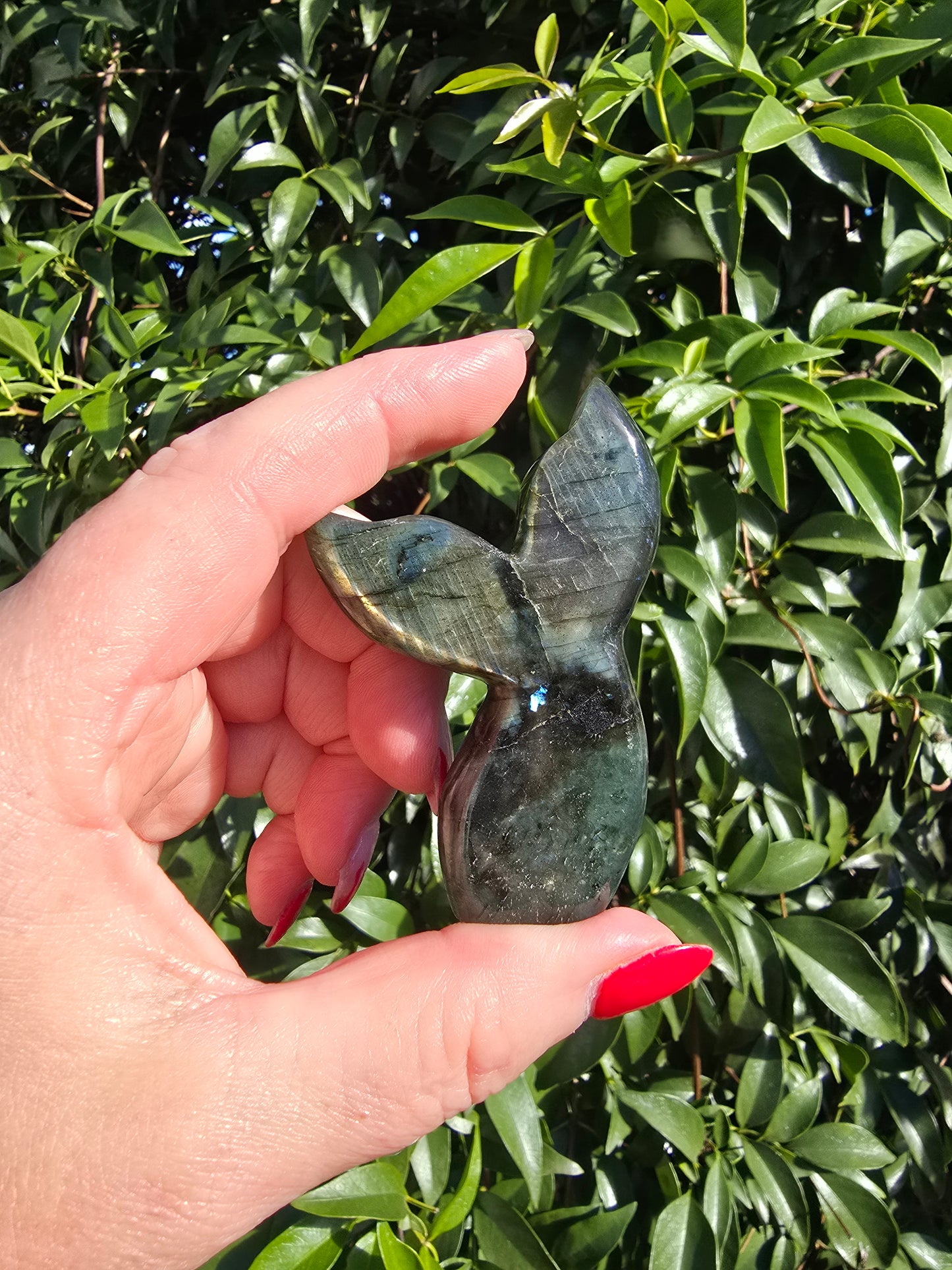 Labradorite Mermaid Tail C