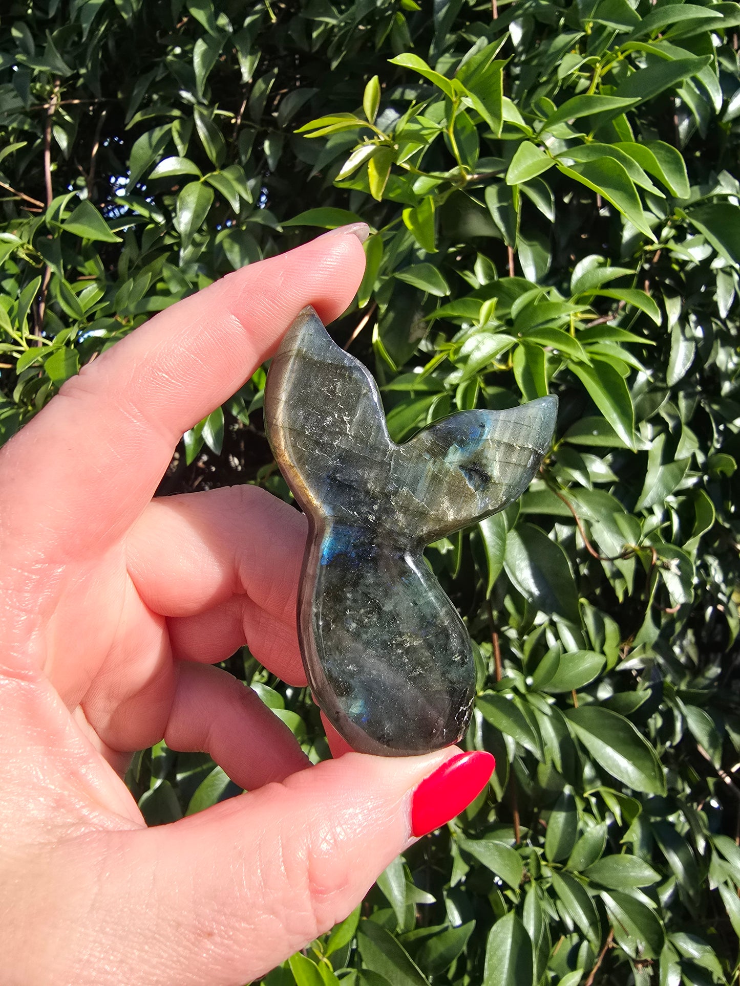 Labradorite Mermaid Tail C