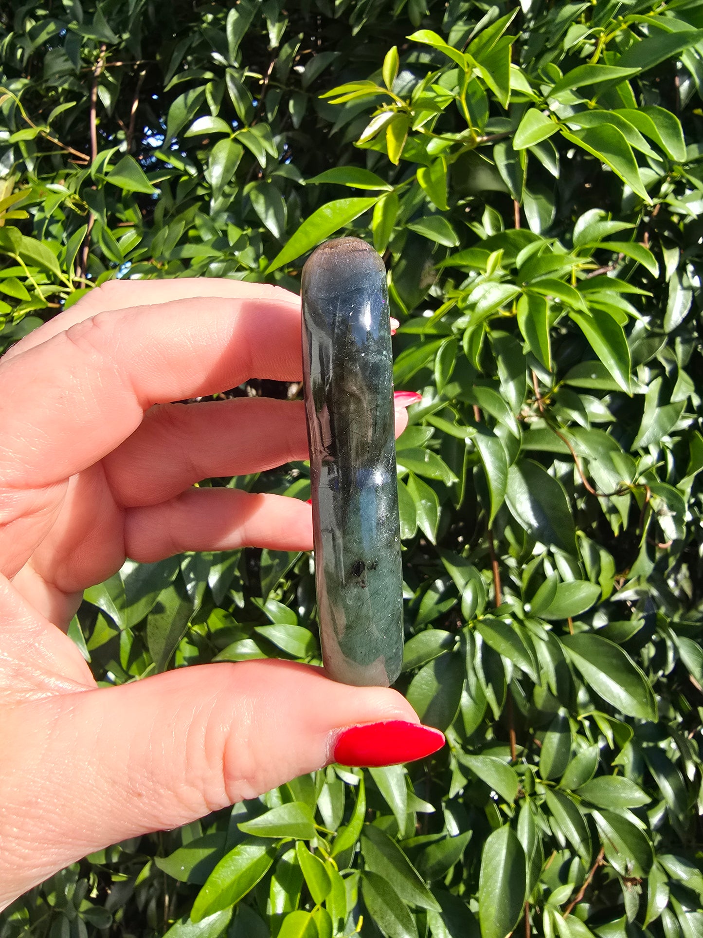 Labradorite Mermaid Tail C