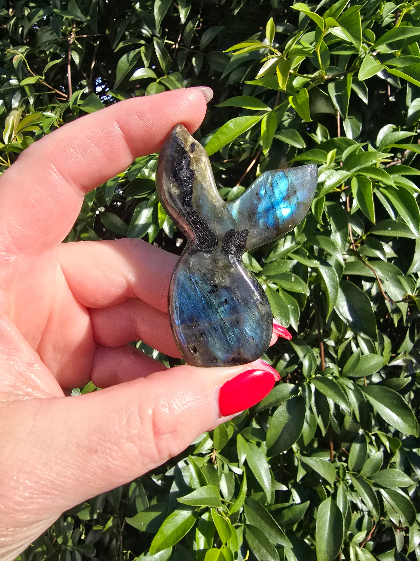 Labradorite Mermaid Tail D