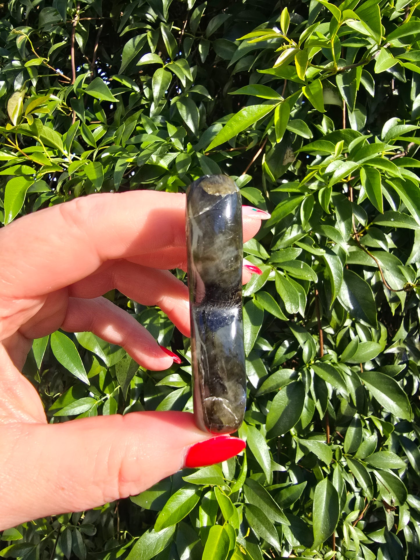 Labradorite Mermaid Tail D