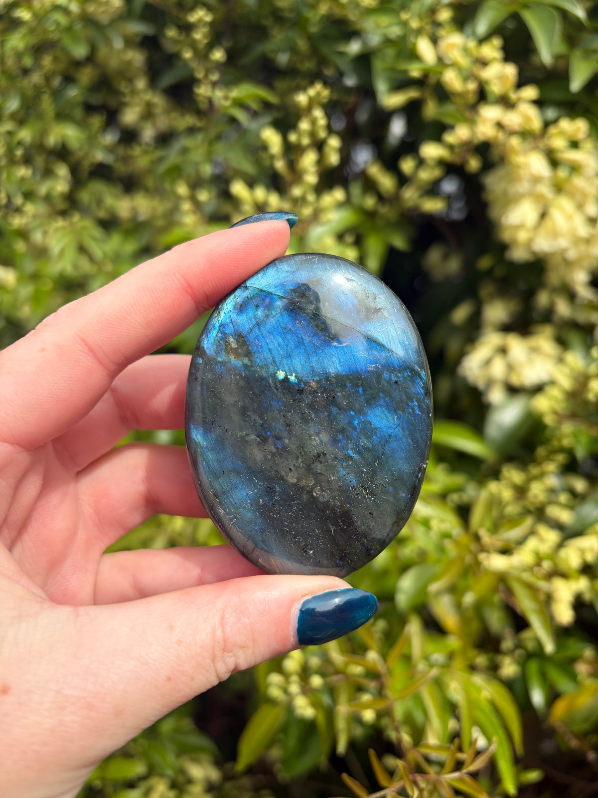 Labradorite Palm Stone A