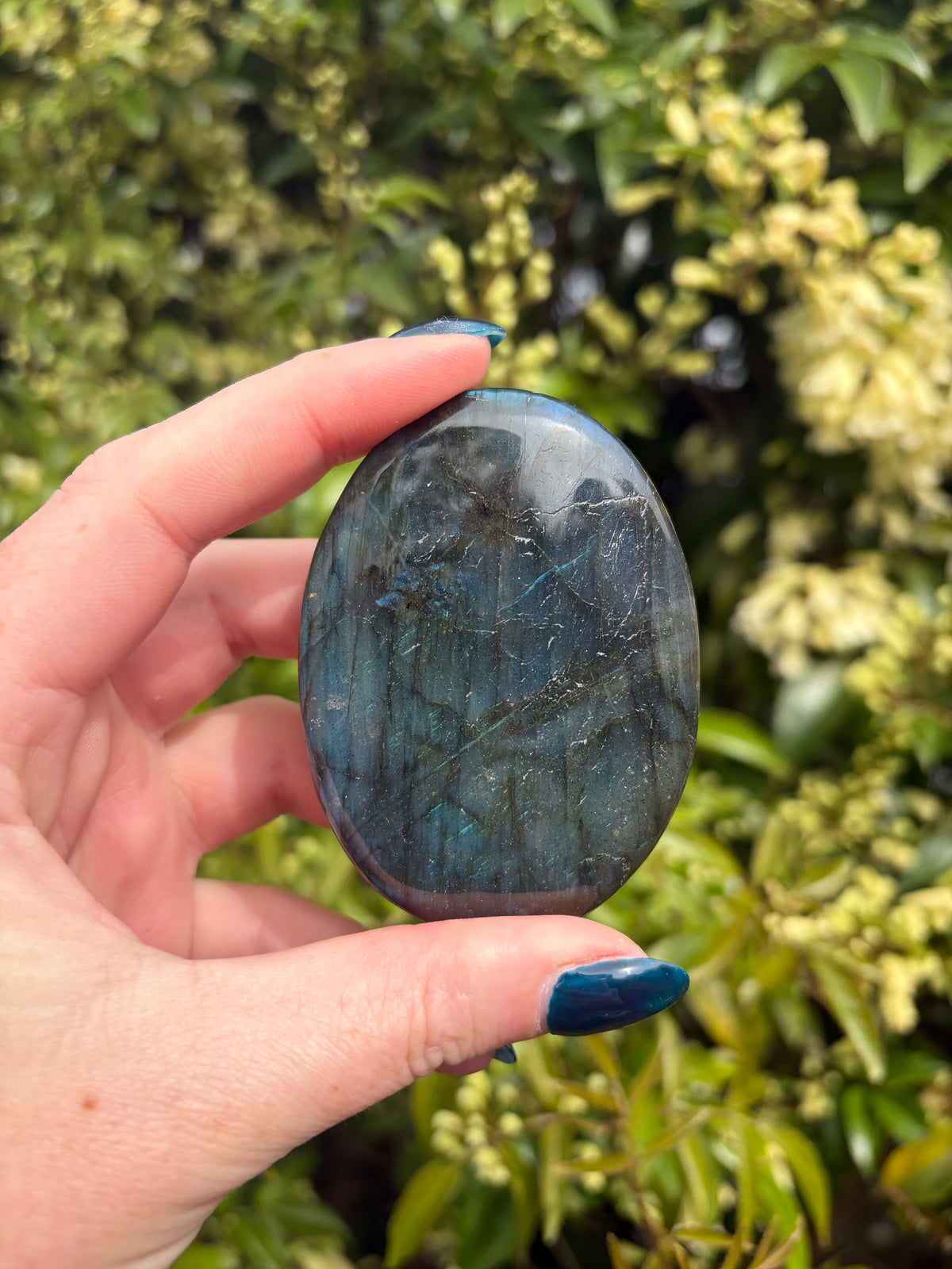 Labradorite Palm Stone B