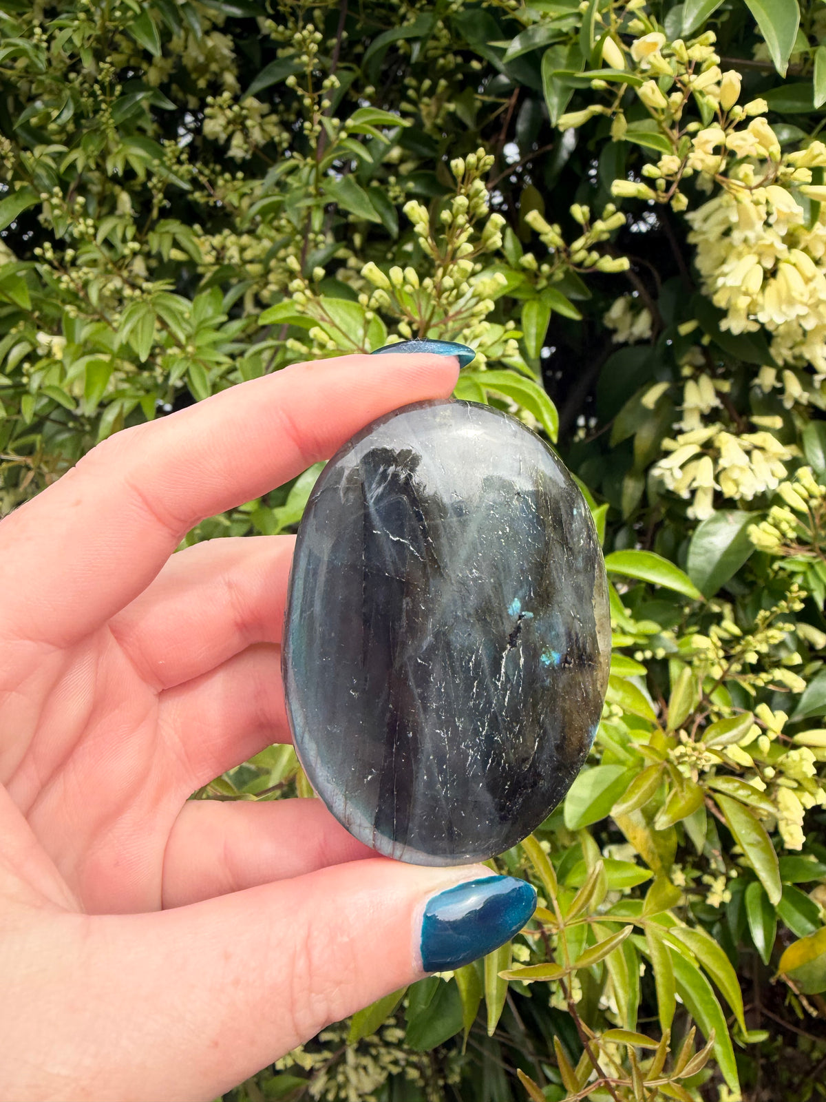 Labradorite Palm Stone C
