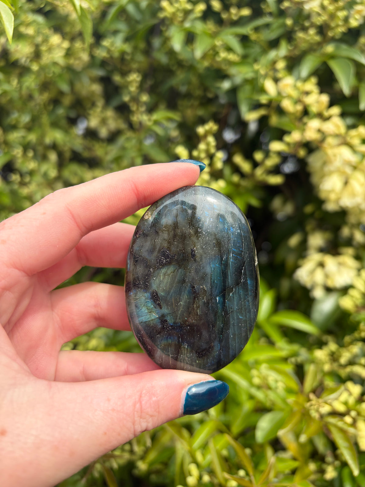 Labradorite Palm Stone C