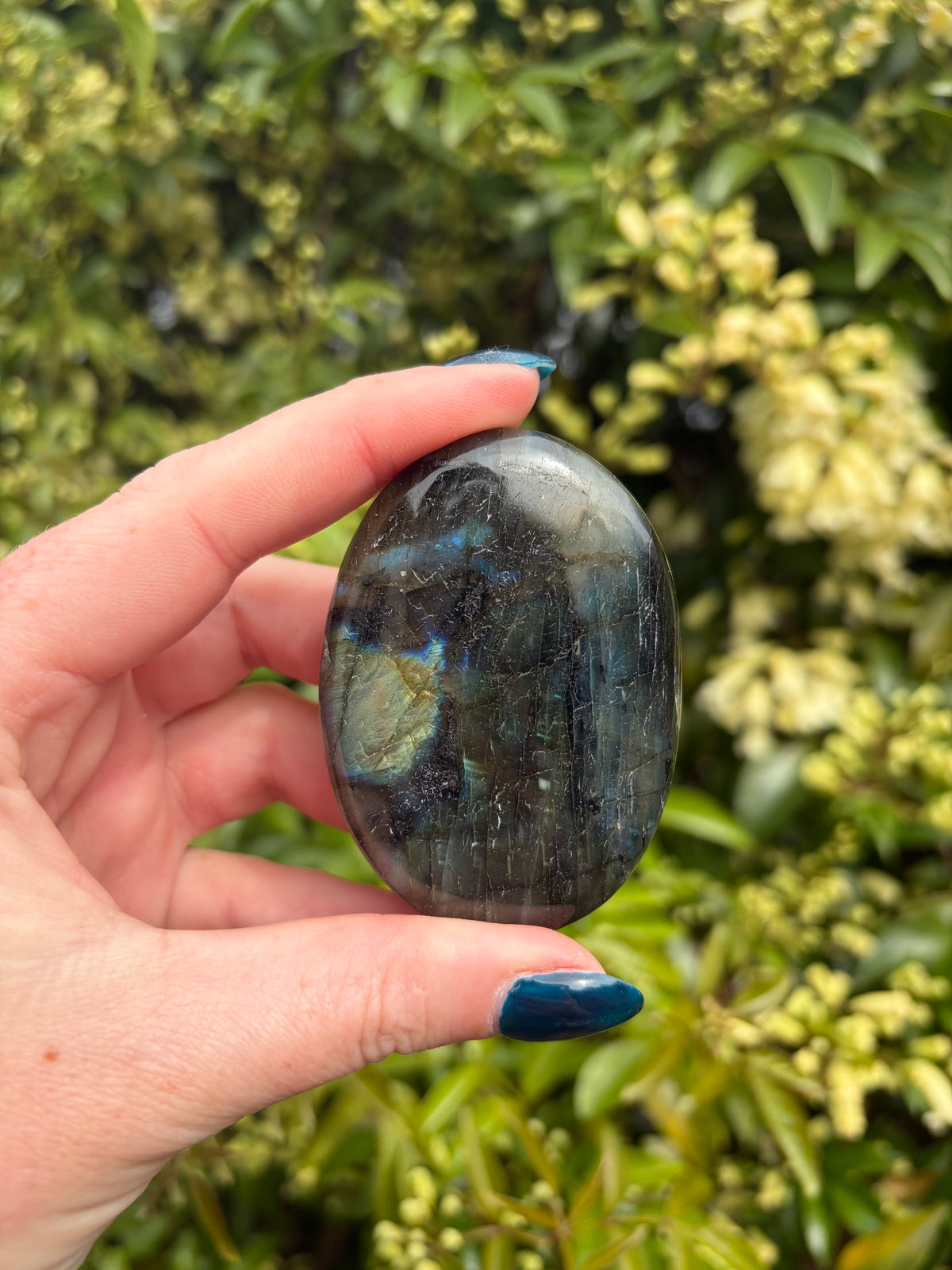 Labradorite Palm Stone D