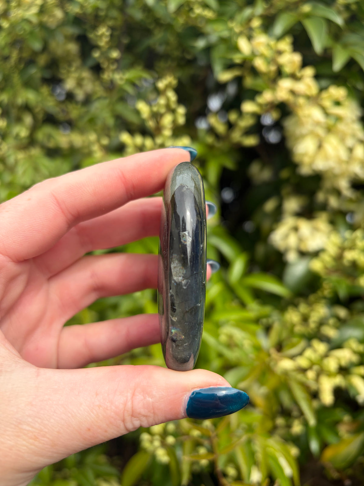 Labradorite Palm Stone D