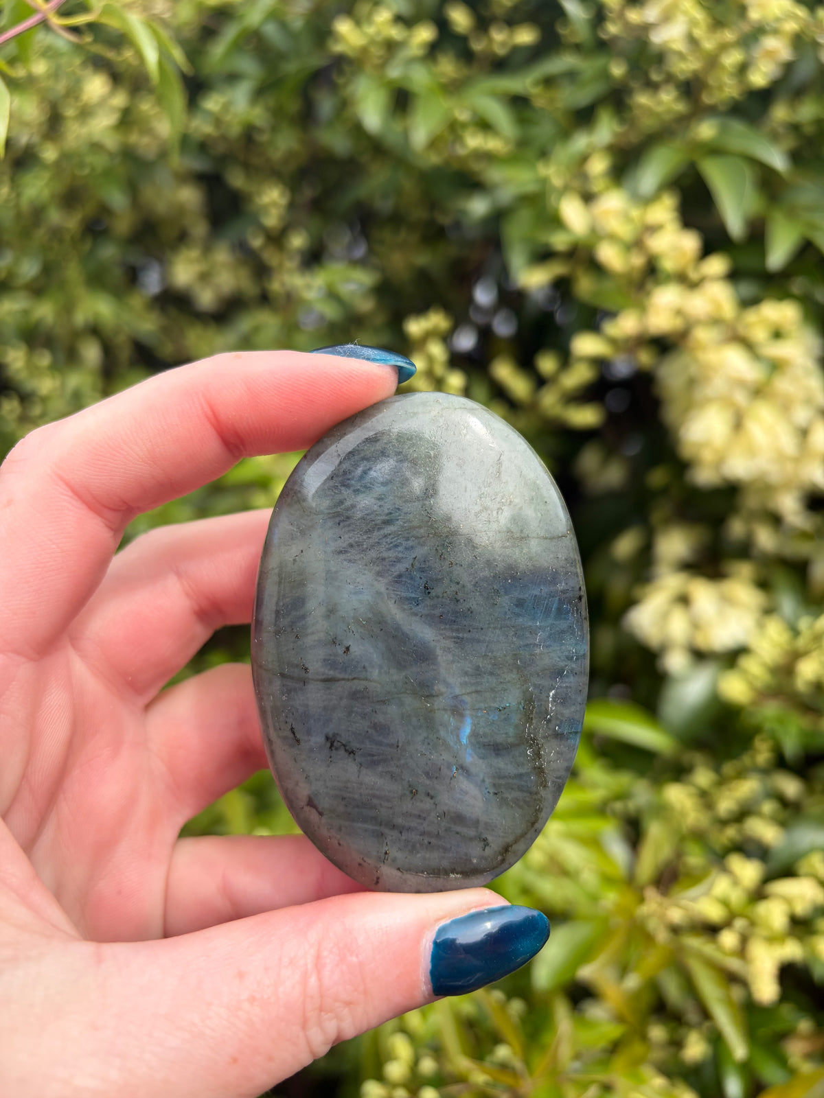 Labradorite Palm Stone E