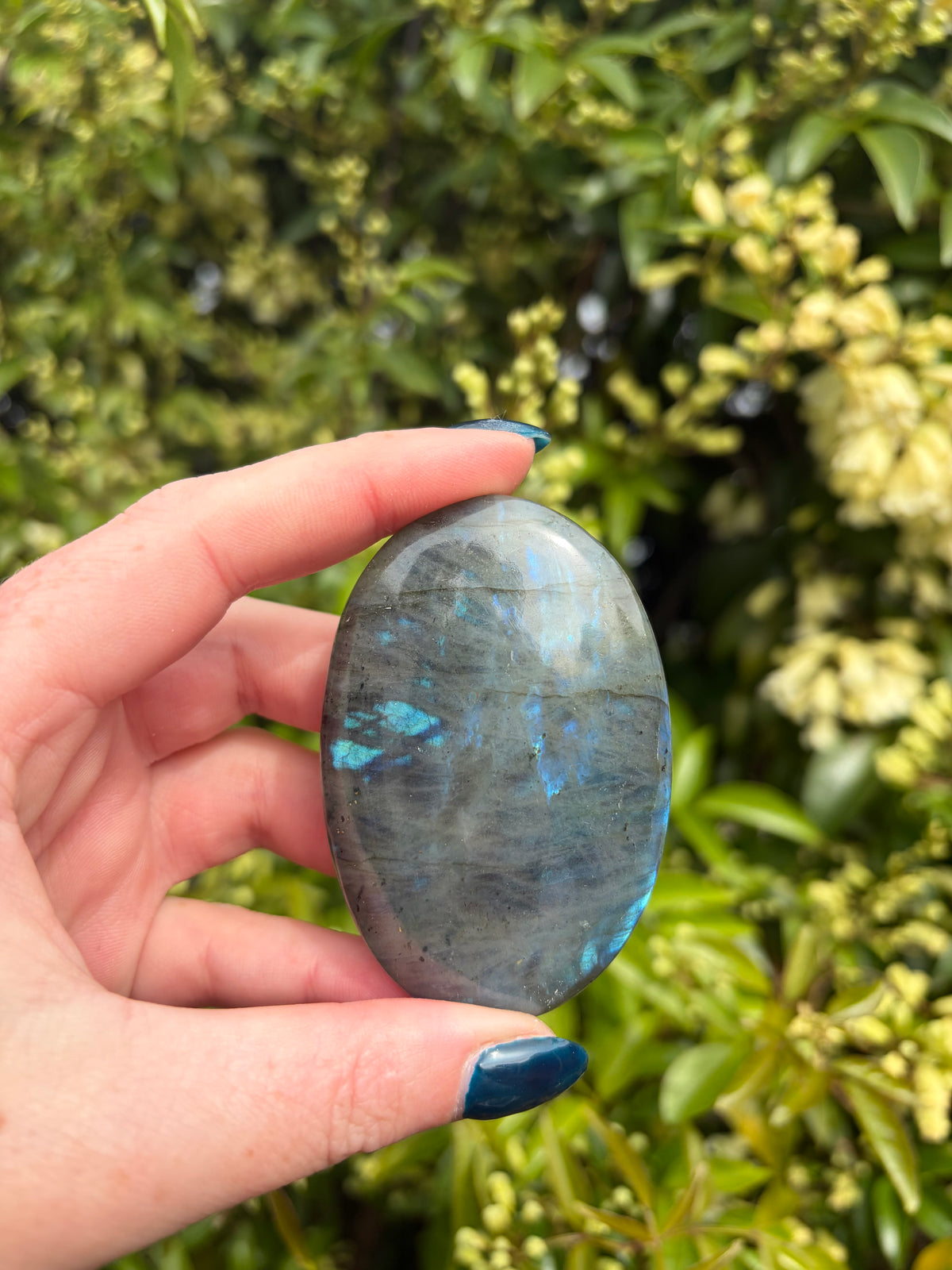 Labradorite Palm Stone E