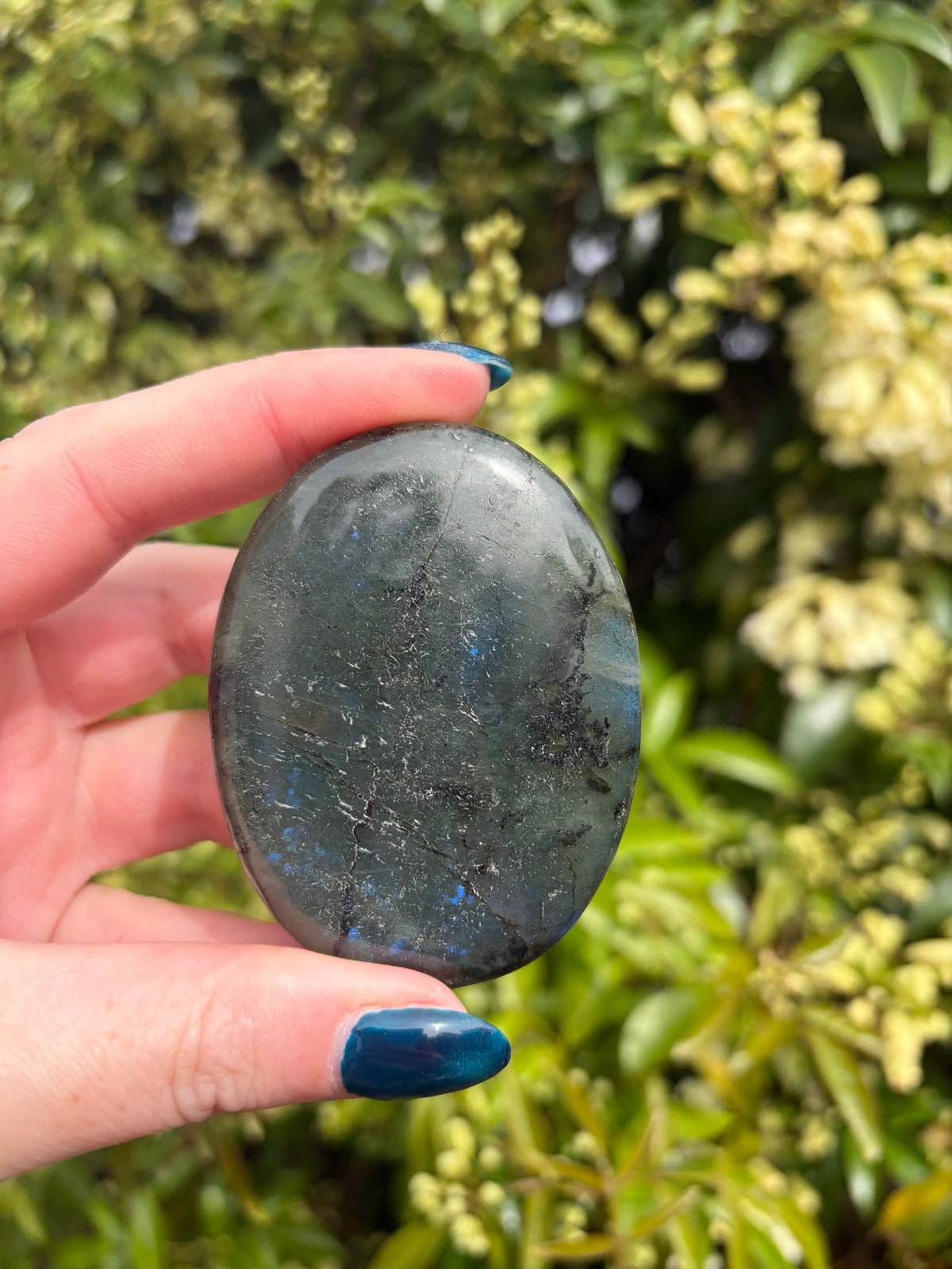 Labradorite Palm Stone F