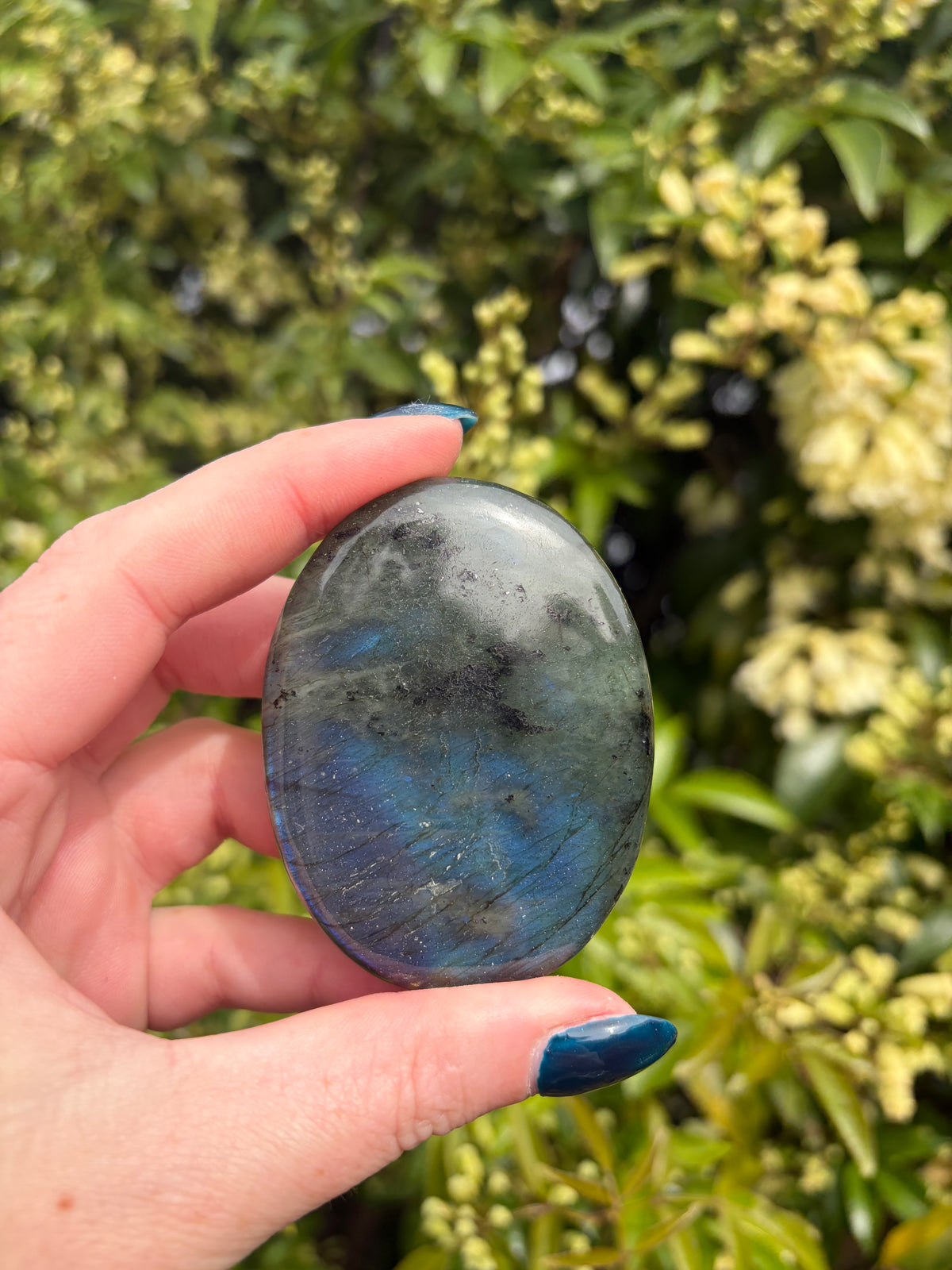 Labradorite Palm Stone F