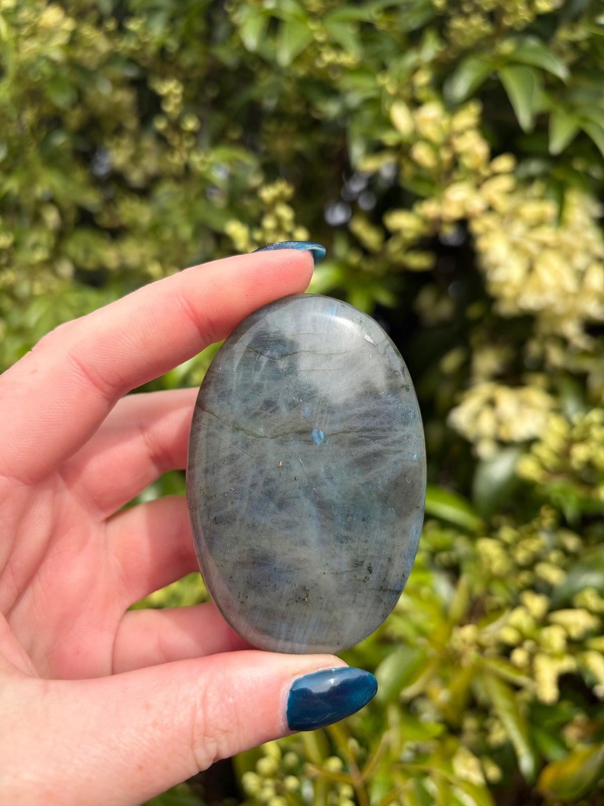 Labradorite Palm Stone G