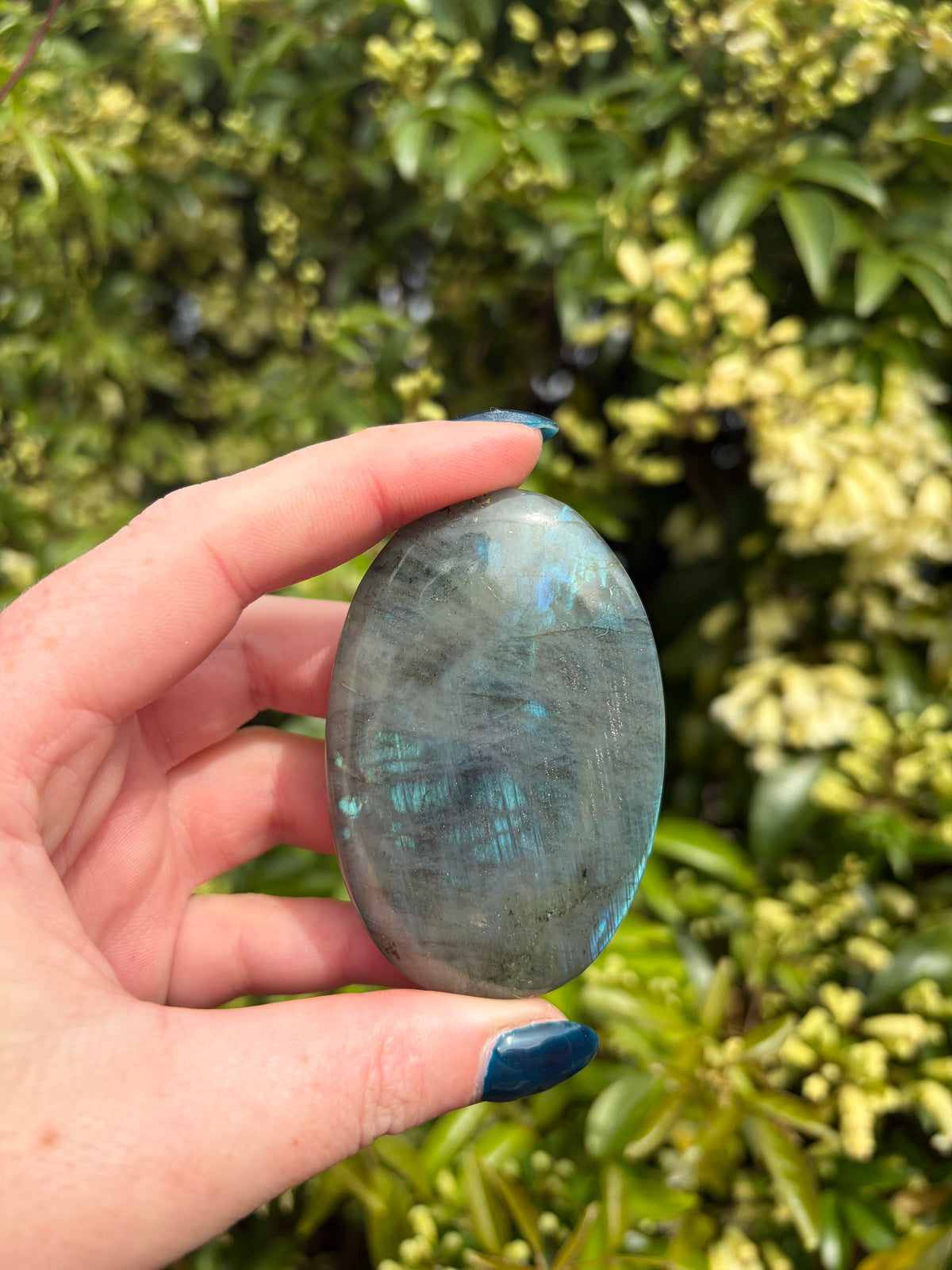 Labradorite Palm Stone G