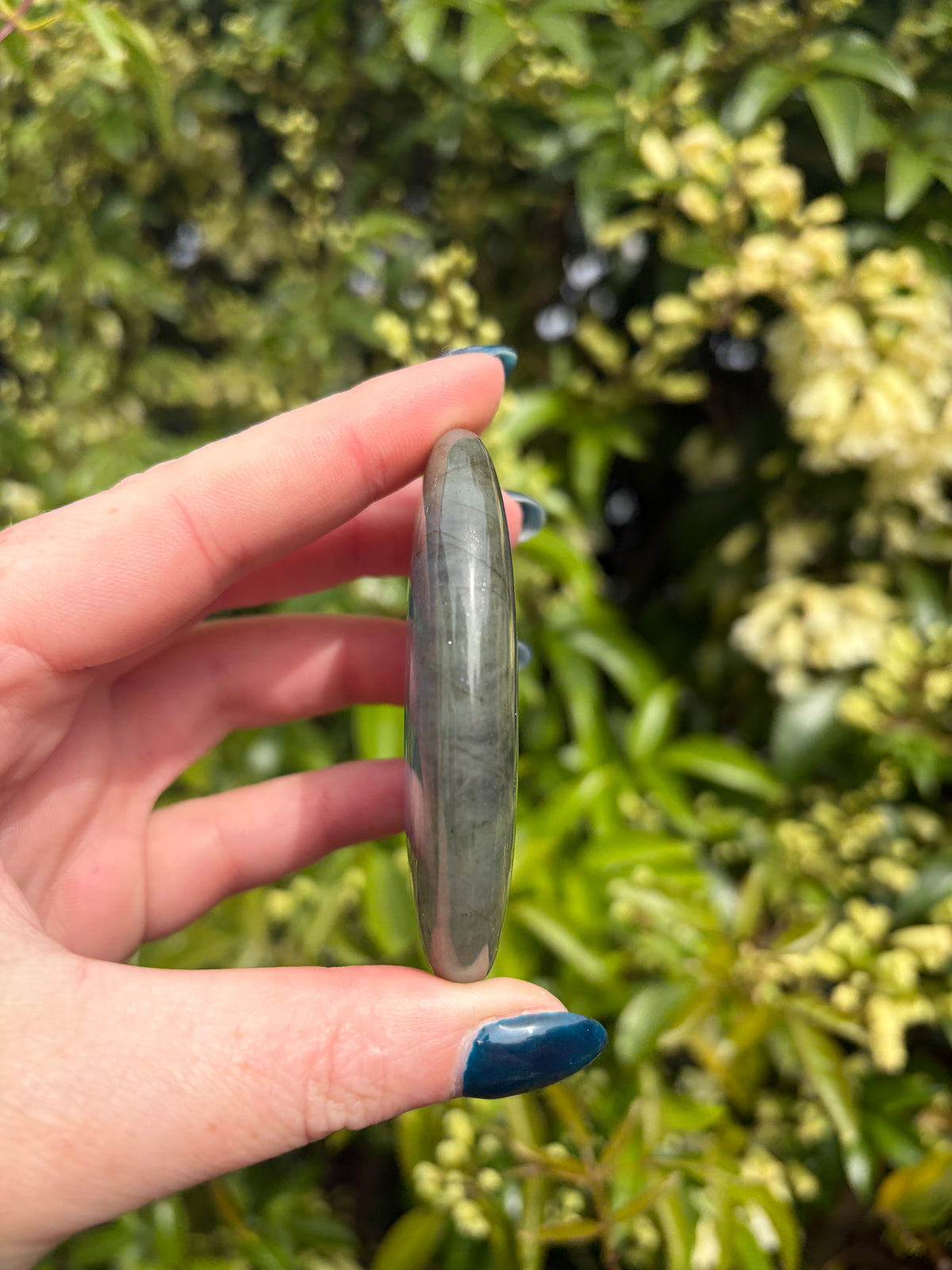 Labradorite Palm Stone G