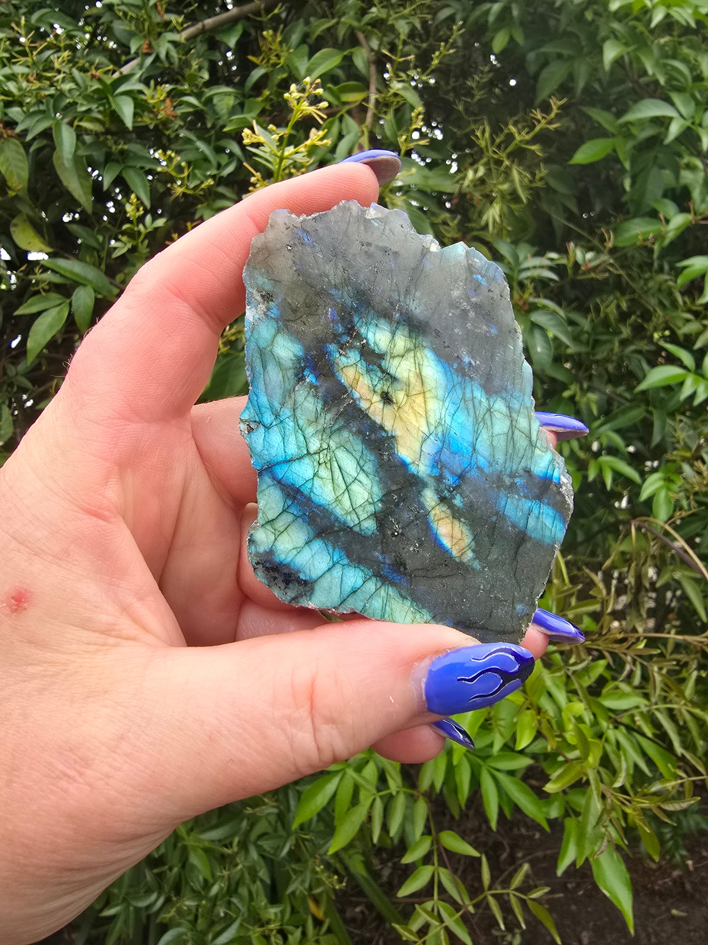 Labradorite Semi Polished Piece C