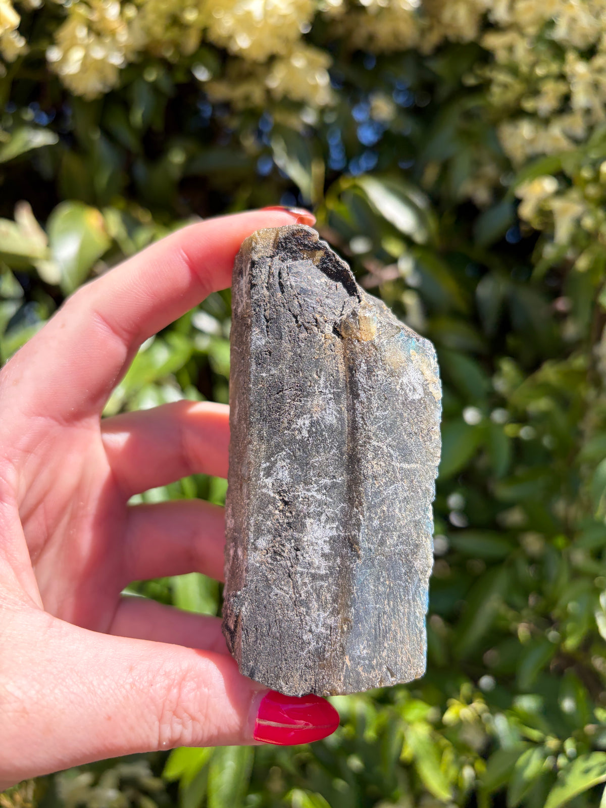 Labradorite Semi Polished Piece D