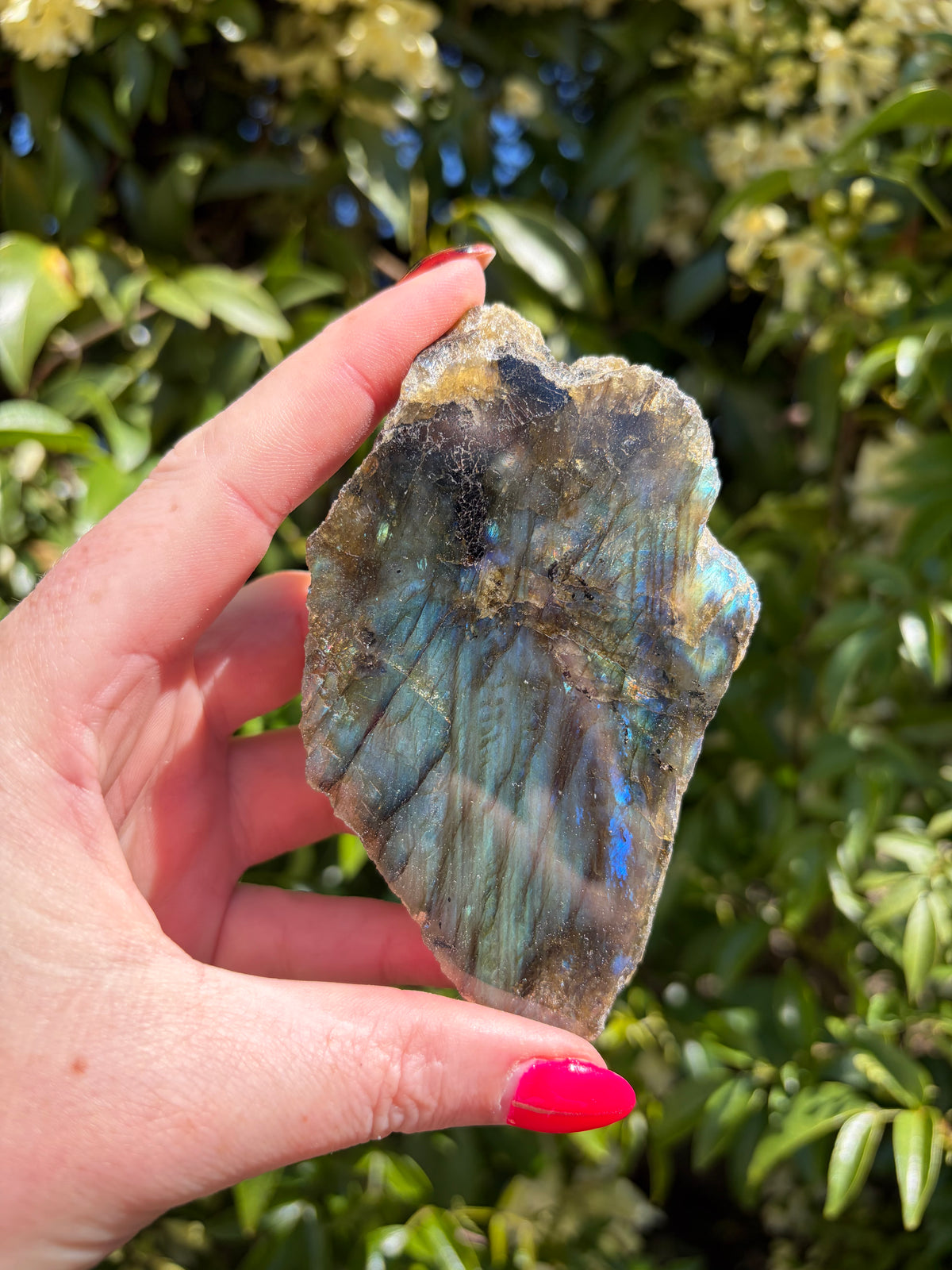 Labradorite Semi Polished Piece E