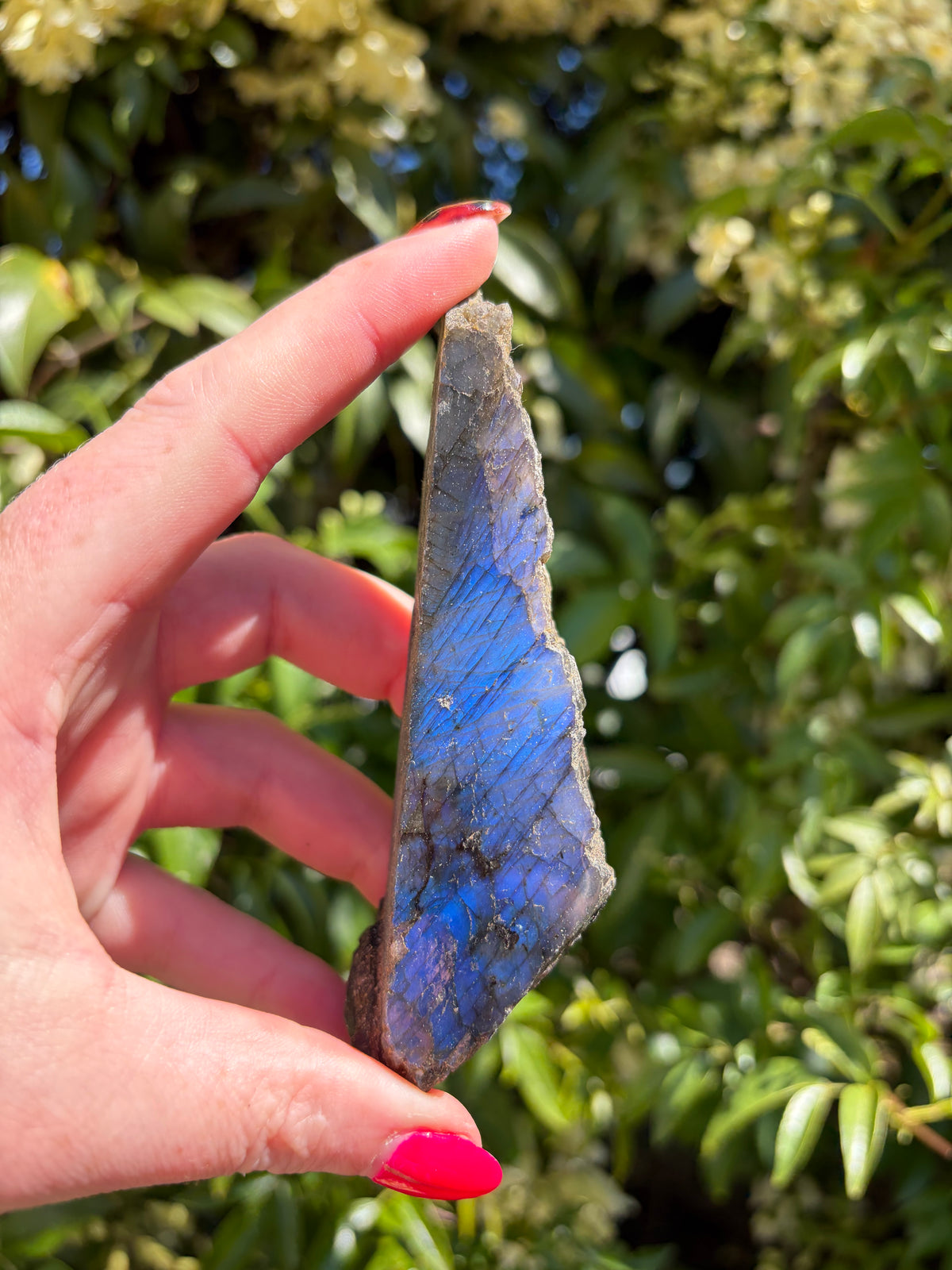 Labradorite Semi Polished Piece G