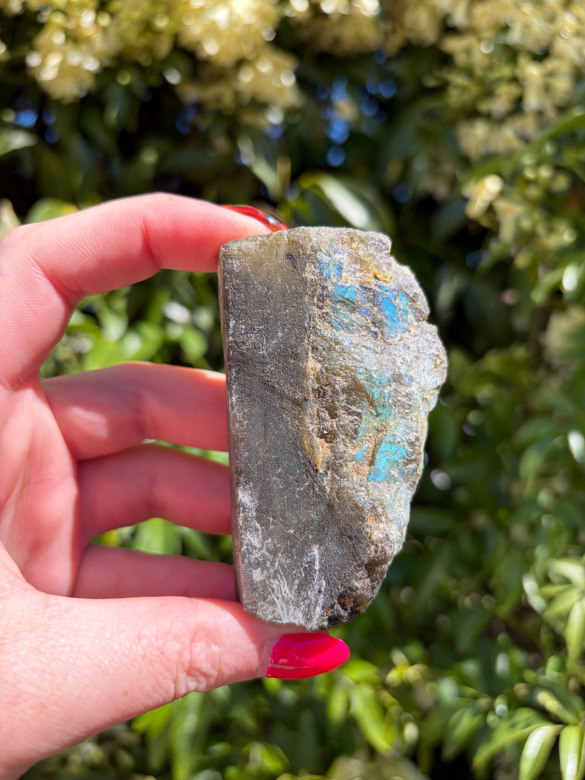 Labradorite Semi Polished Piece H