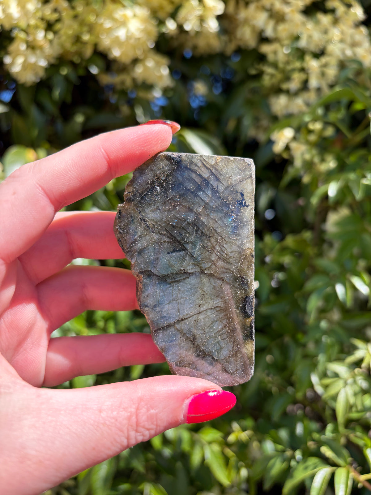 Labradorite Semi Polished Piece H