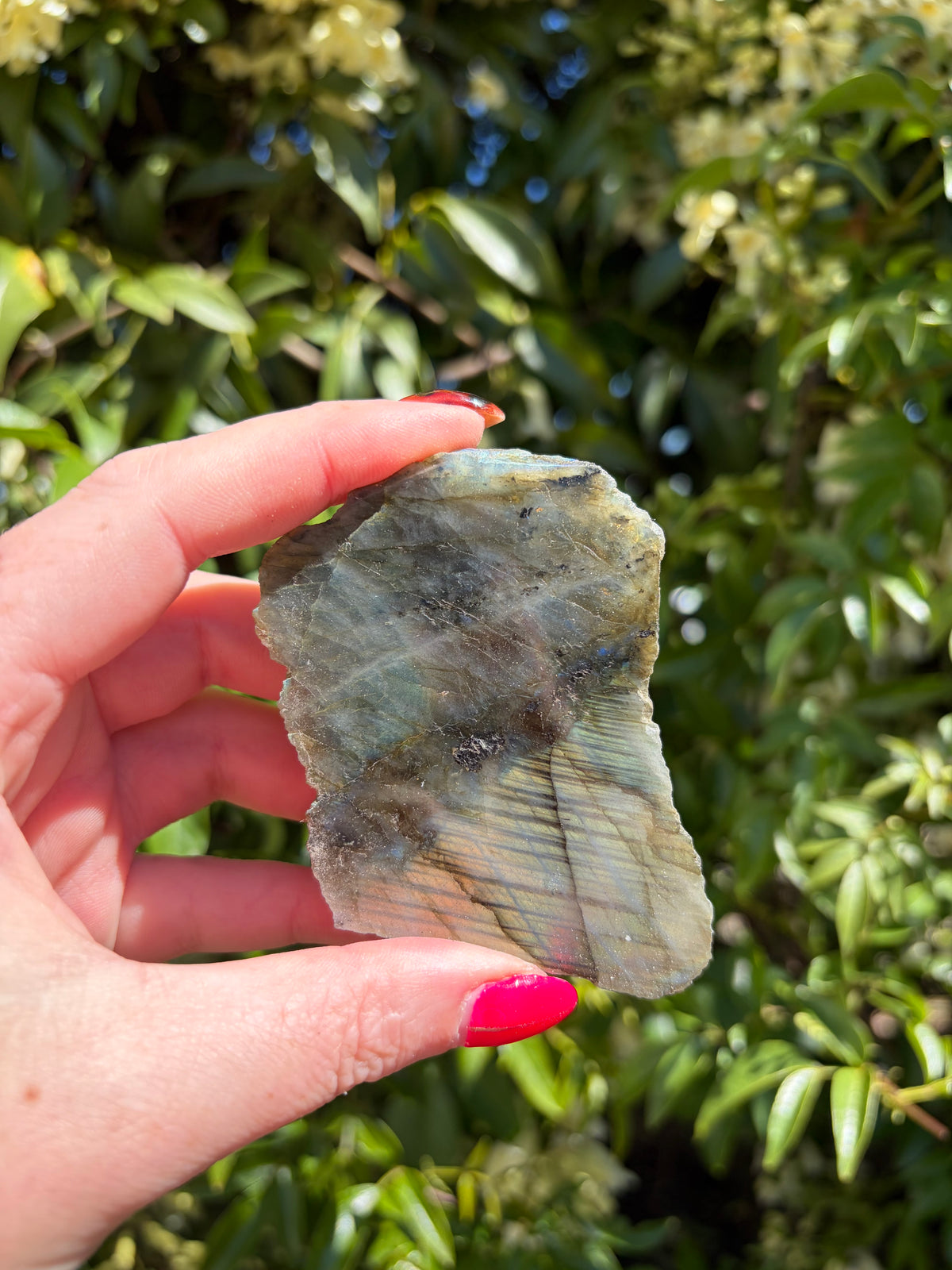 Labradorite Semi Polished Piece i