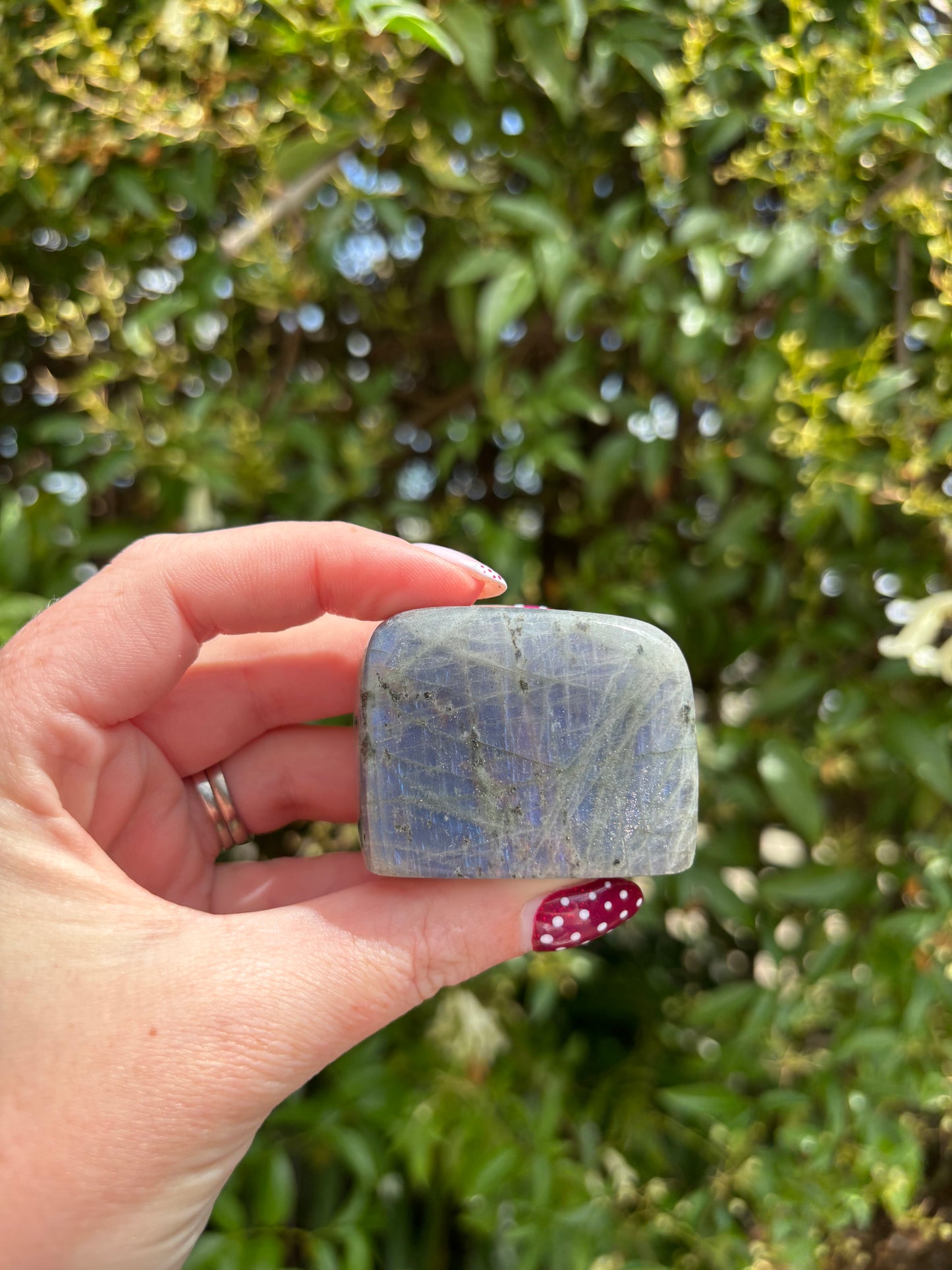 Labradorite Free Form i