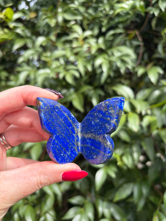 Lapis Lazuli 3D Large Butterfly A
