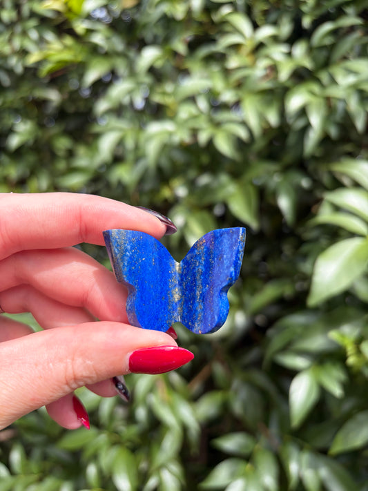 Lapis Lazuli 3D Medium Butterfly A