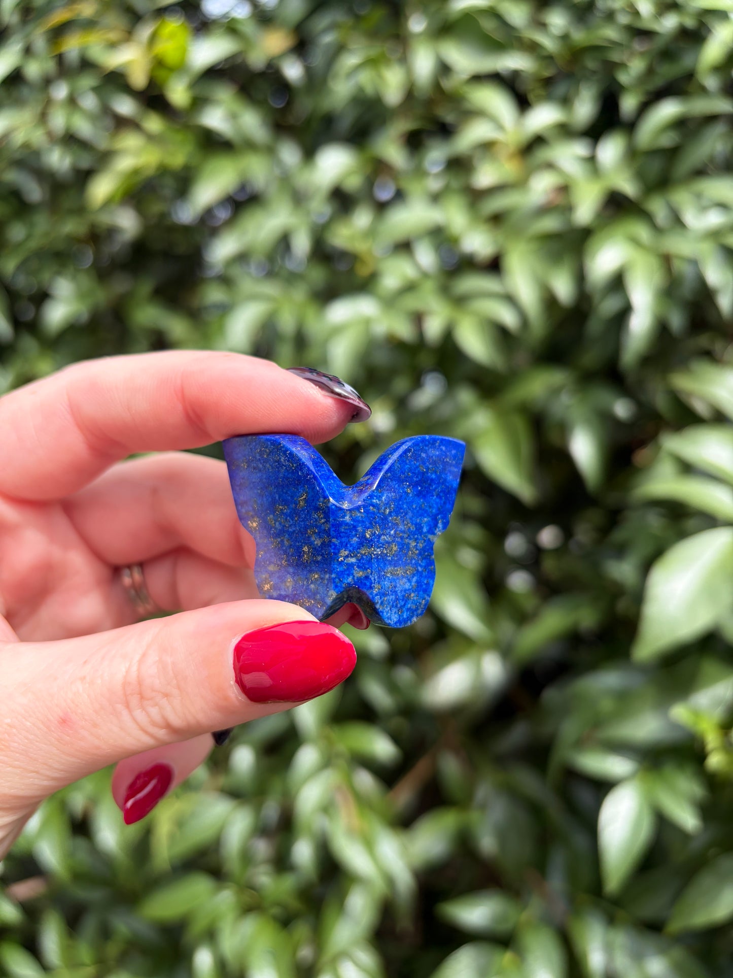 Lapis Lazuli 3D Medium Butterfly B