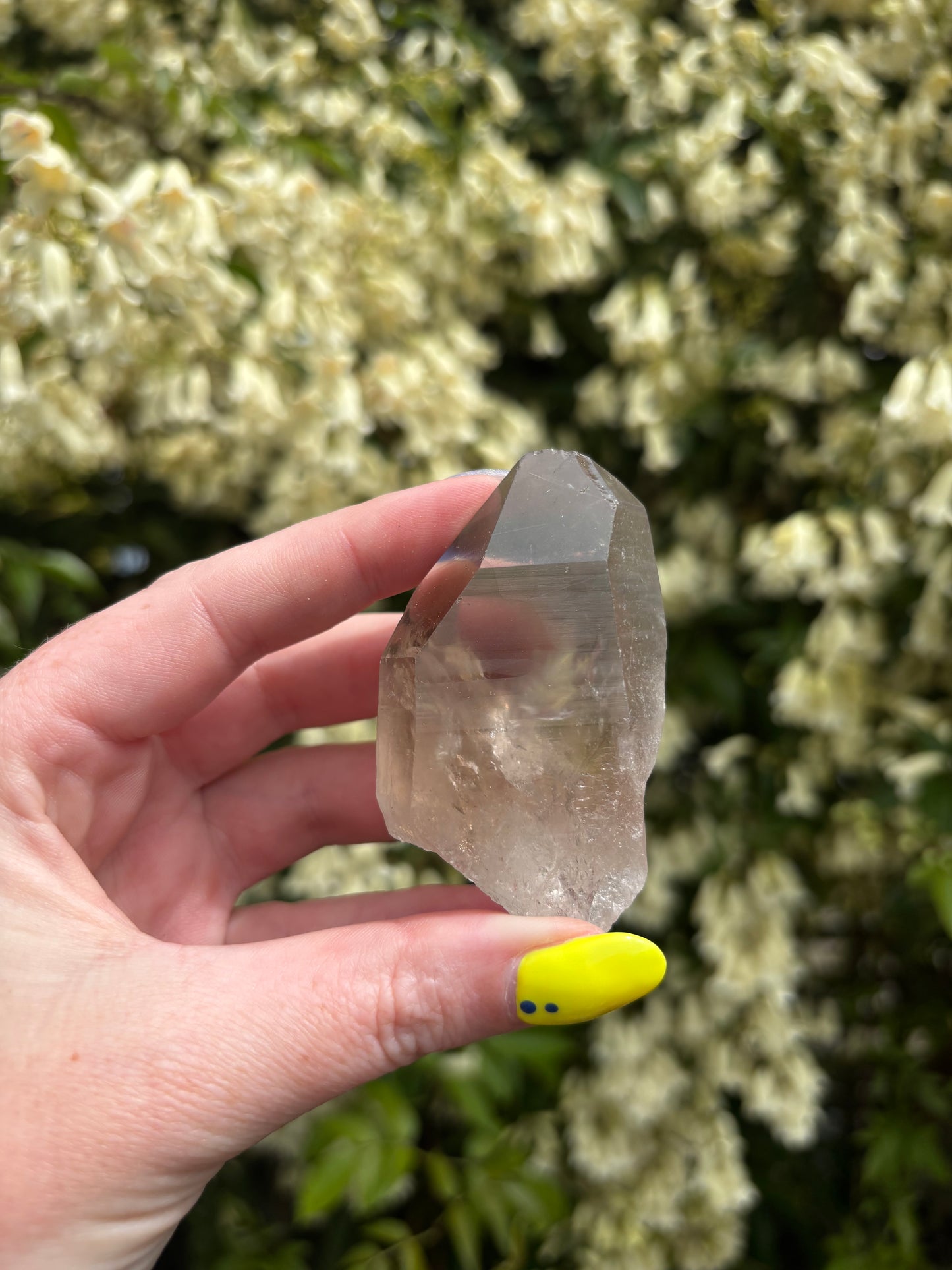 Lemurian Smoky Quartz Semi Polished Point B