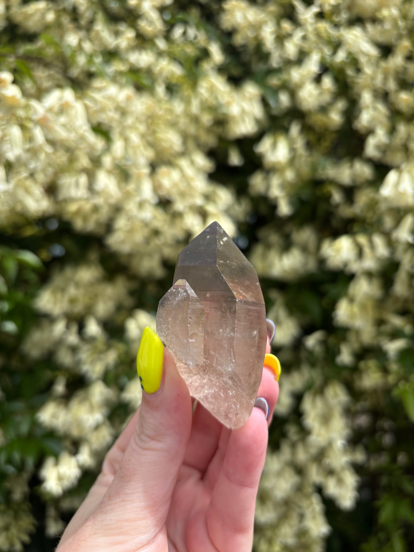 Lemurian Smoky Quartz Semi Polished Point B